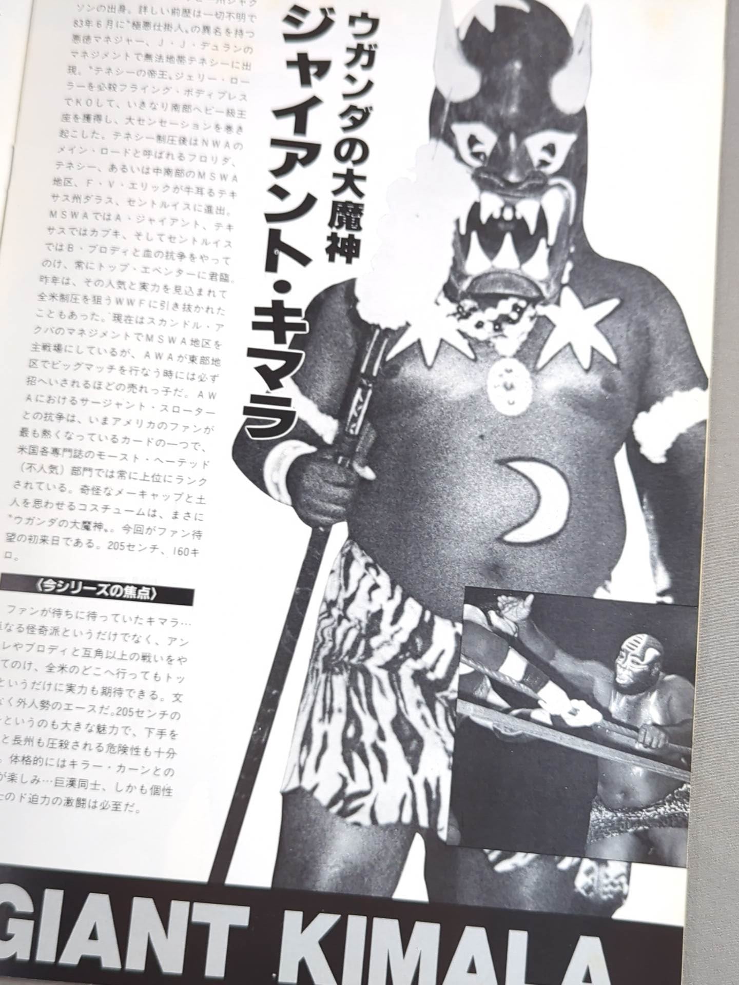 Japan Pro Wrestling / 85 Summer Dream Festival