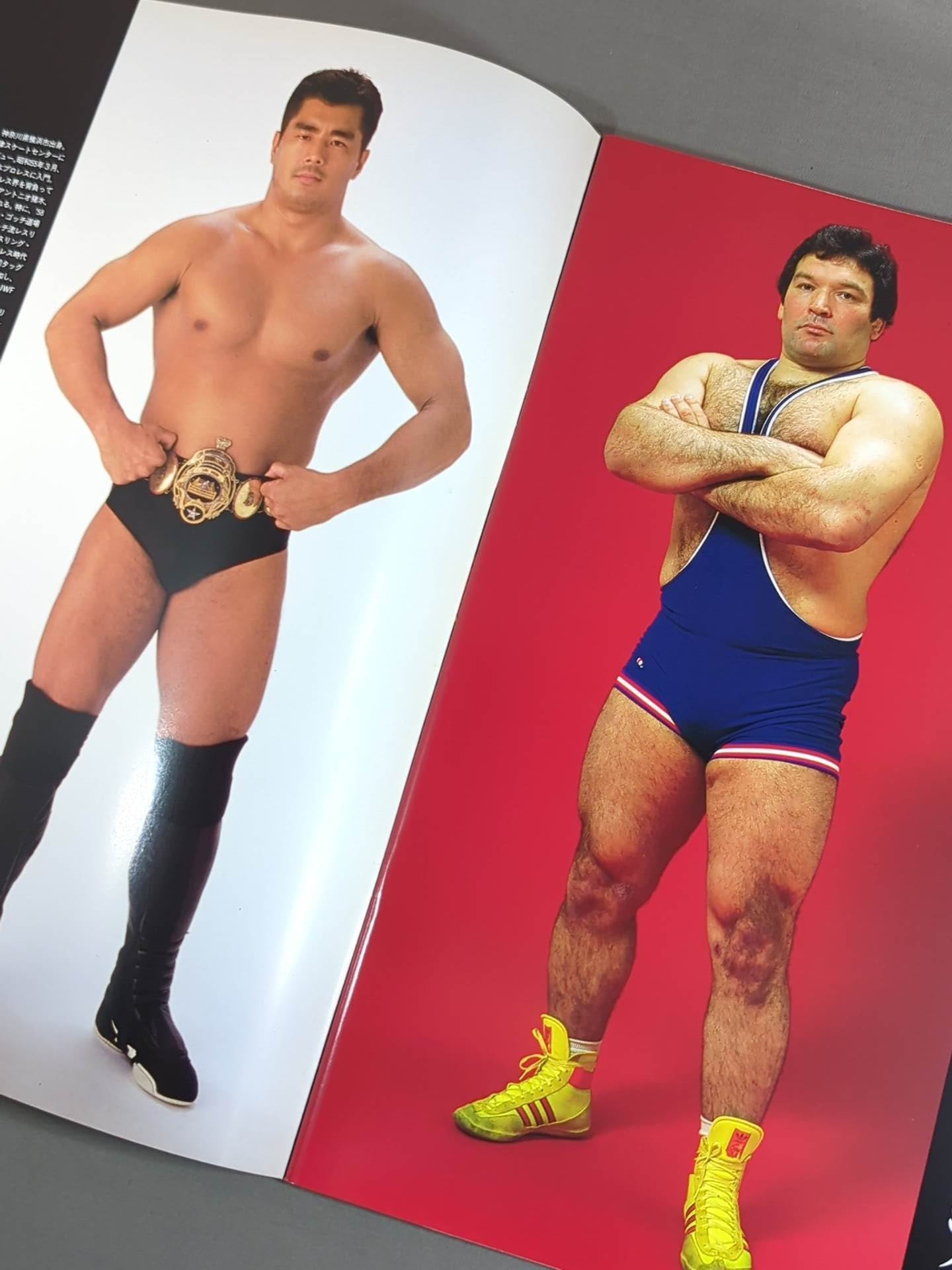 ★ Nobuhiko Takada vs Hashmikov ★ PRO-Wrestling WORLD HEAVY WEIGHT CHAMPIONSHIP