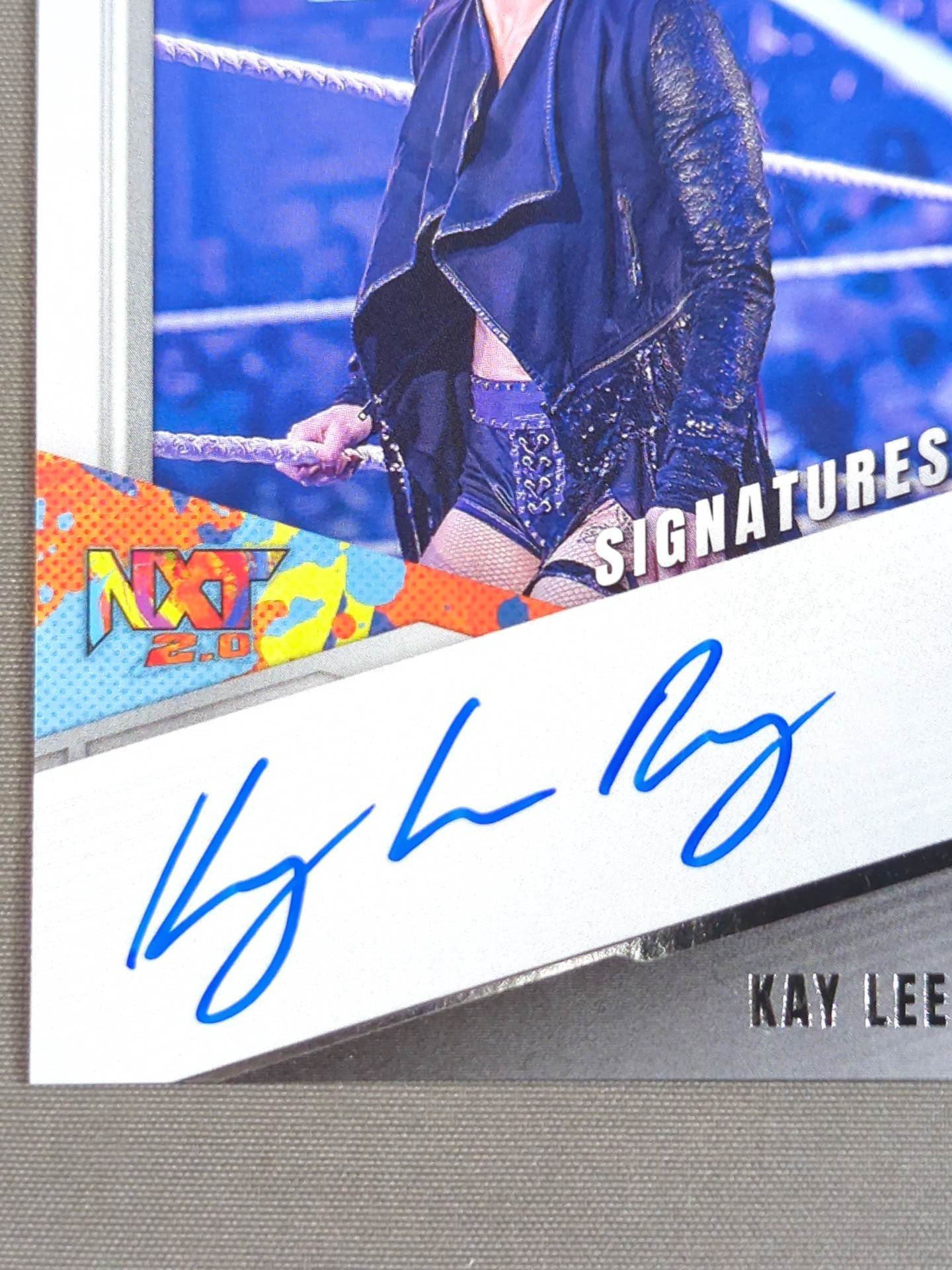 2017 NET PANINI Kay Lee Ray Official Autographed Card