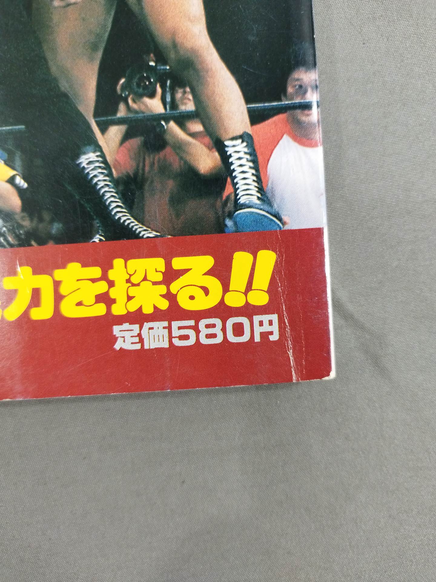 Pro Wrestling Monthly, November 1981