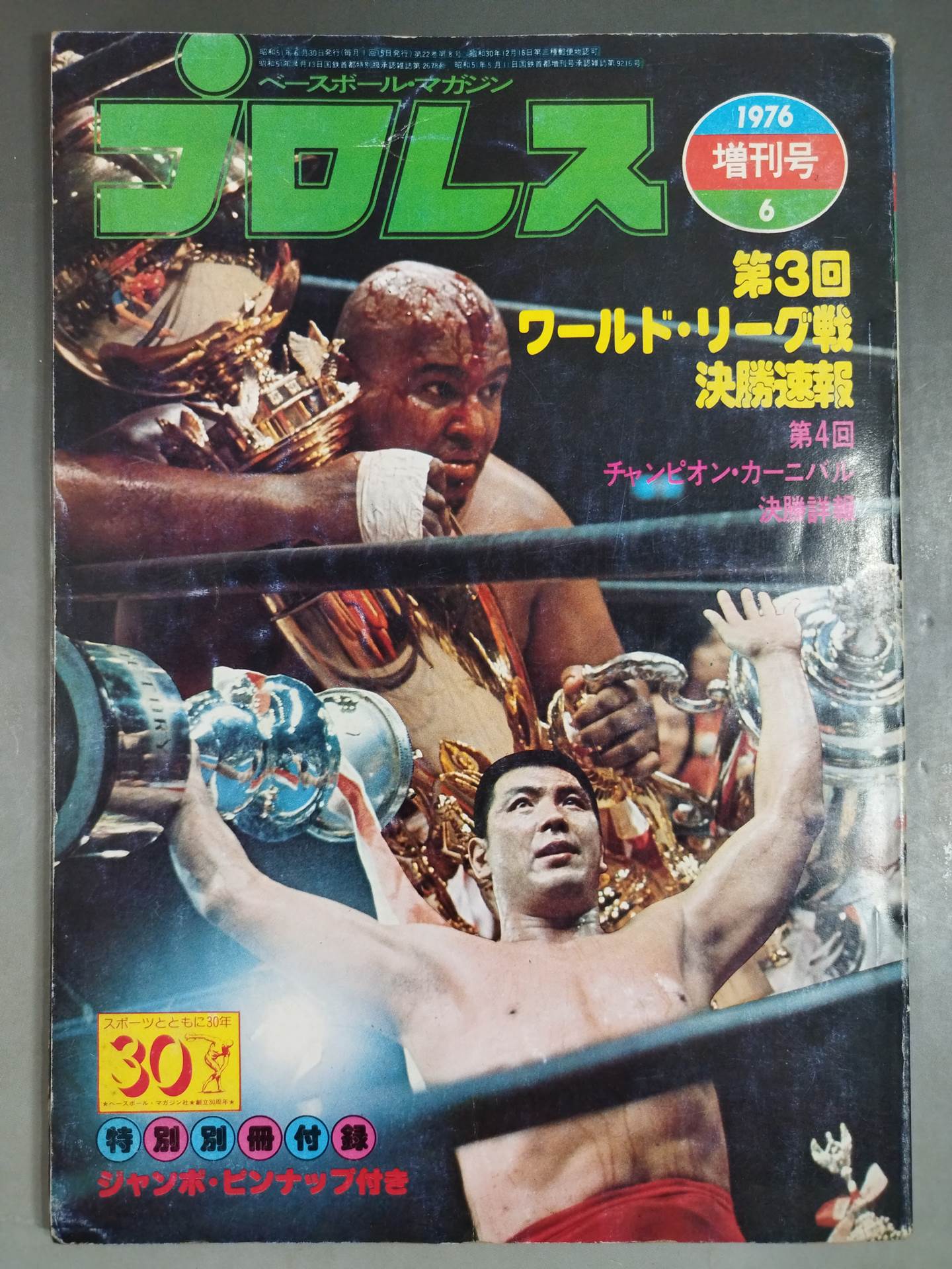 Pro Wrestling Monthly June 1976 Special Issue