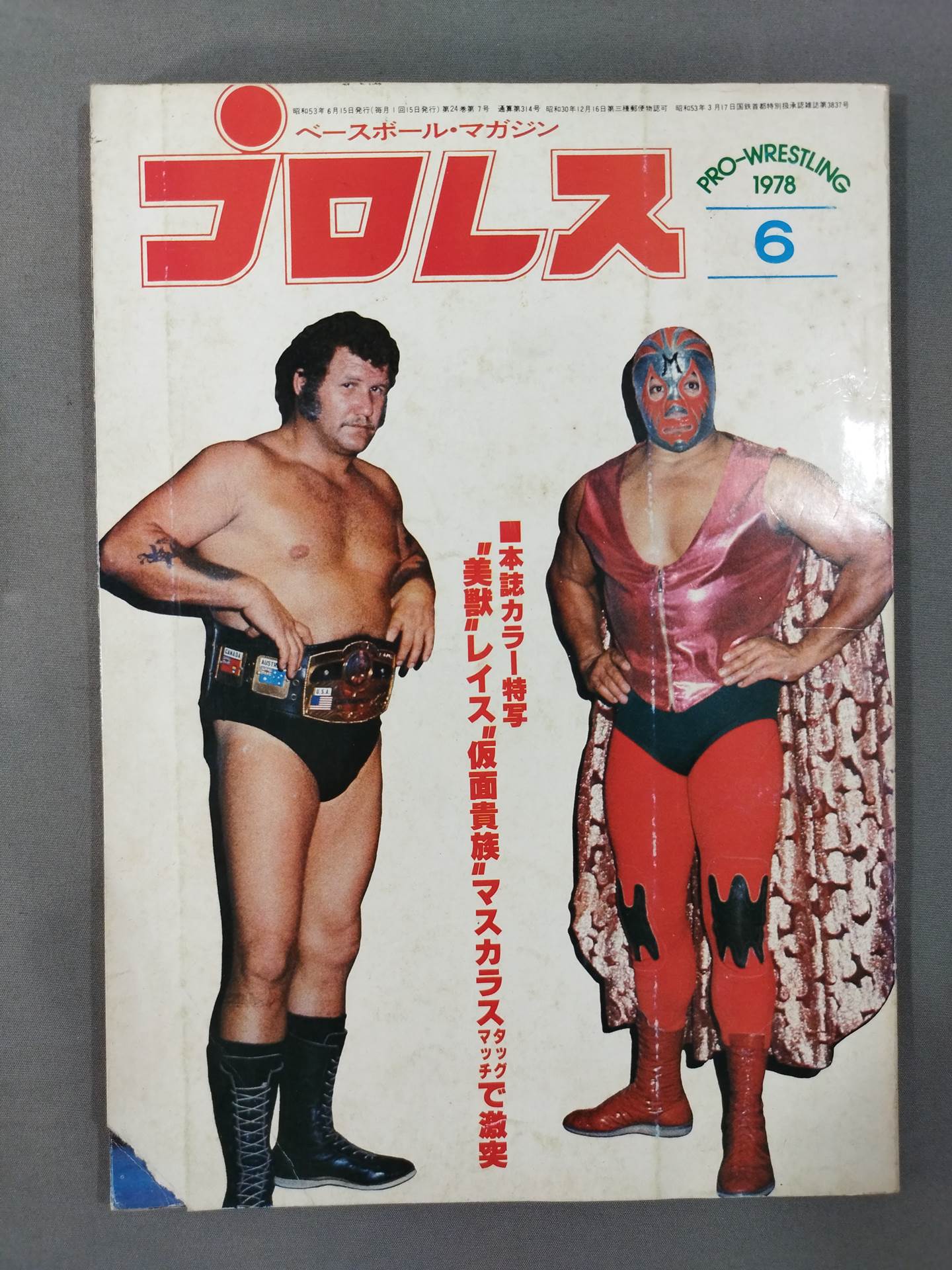 Pro Wrestling Monthly, June 1978