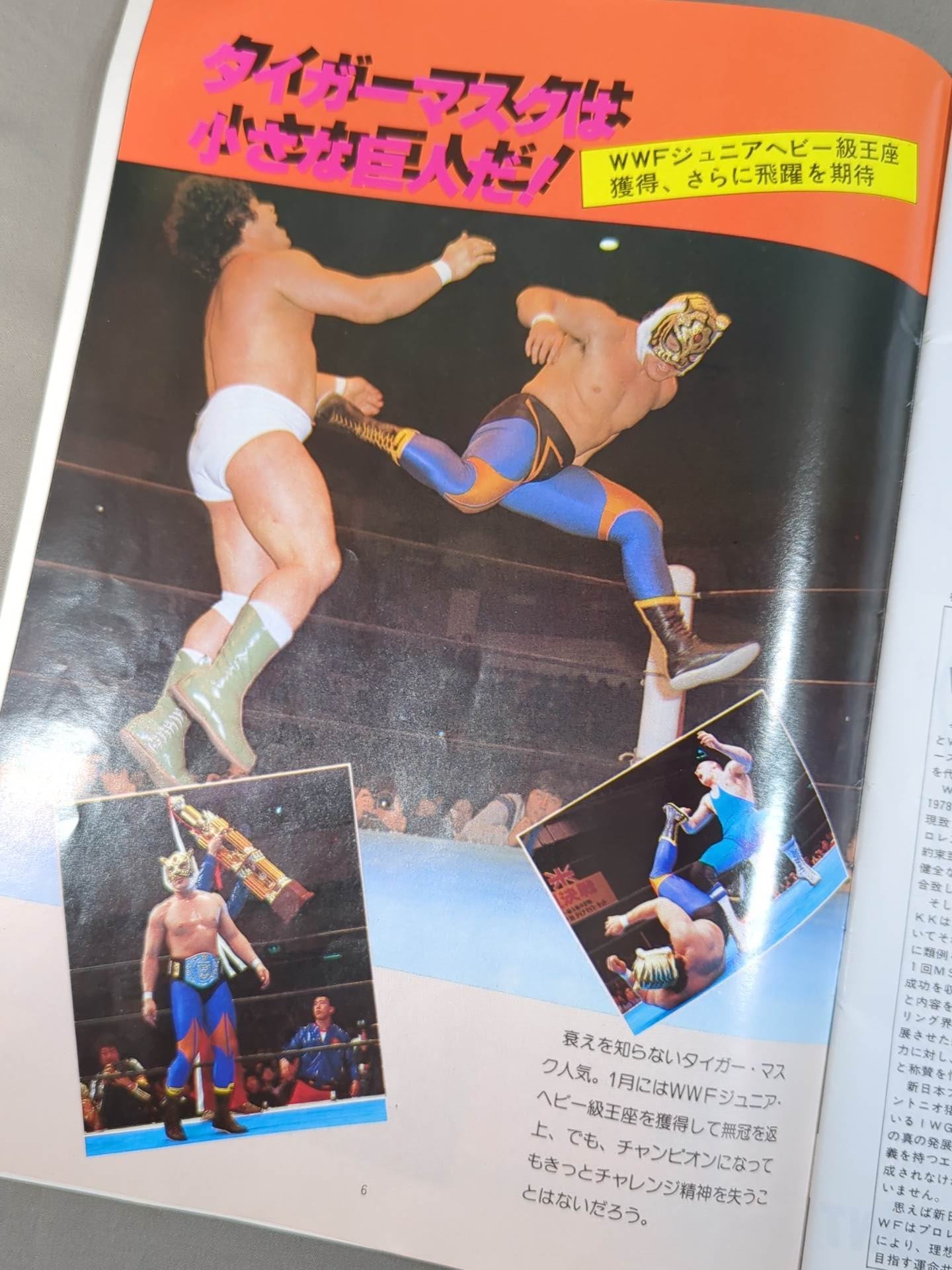 THE WRESTLER 第5回MSGシリーズ Vol.7