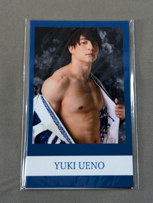Yuki Ueno Mini Photo Style Card Set