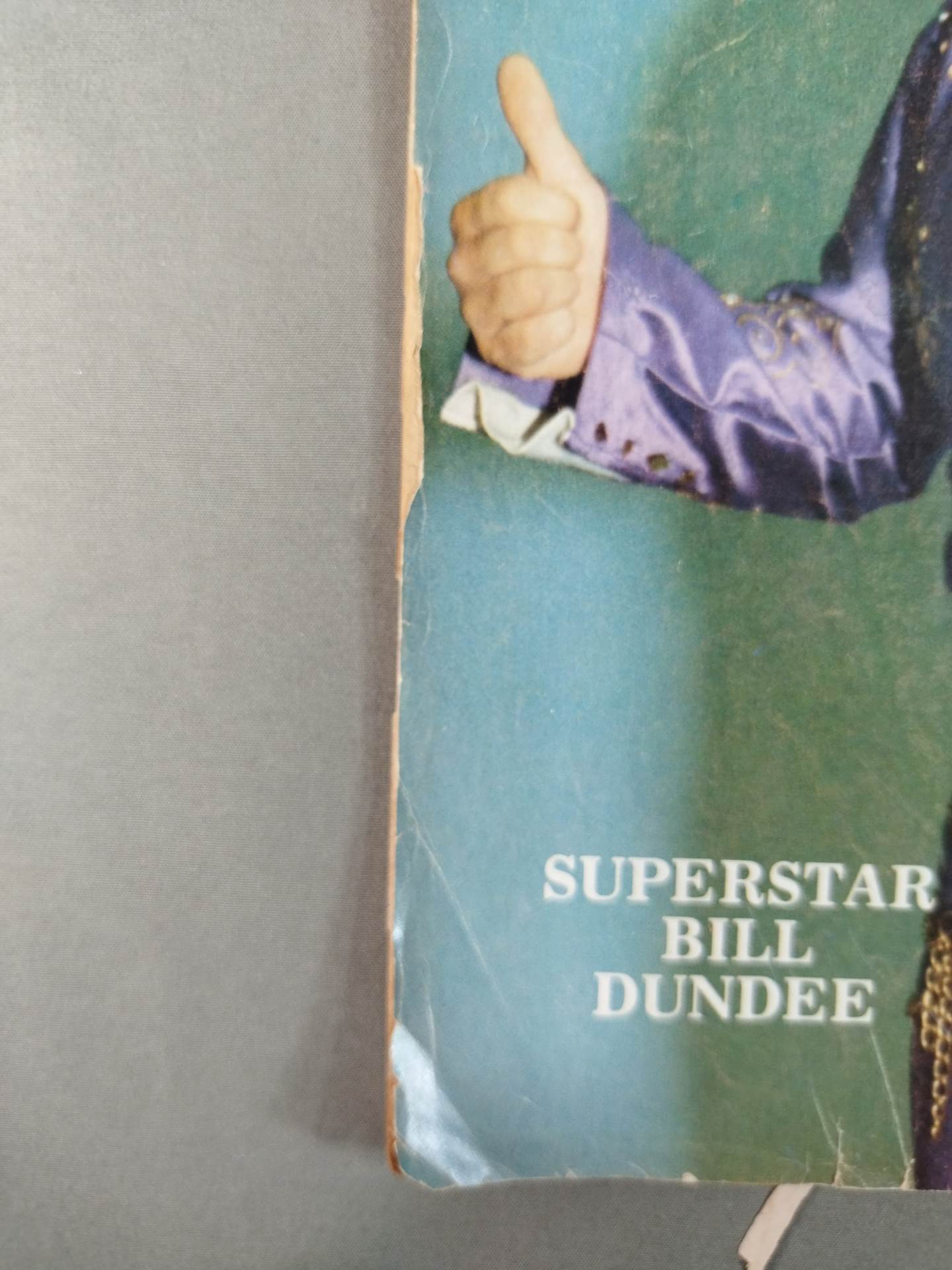 Wrestling magazine(The RING’S) 1982年10月号