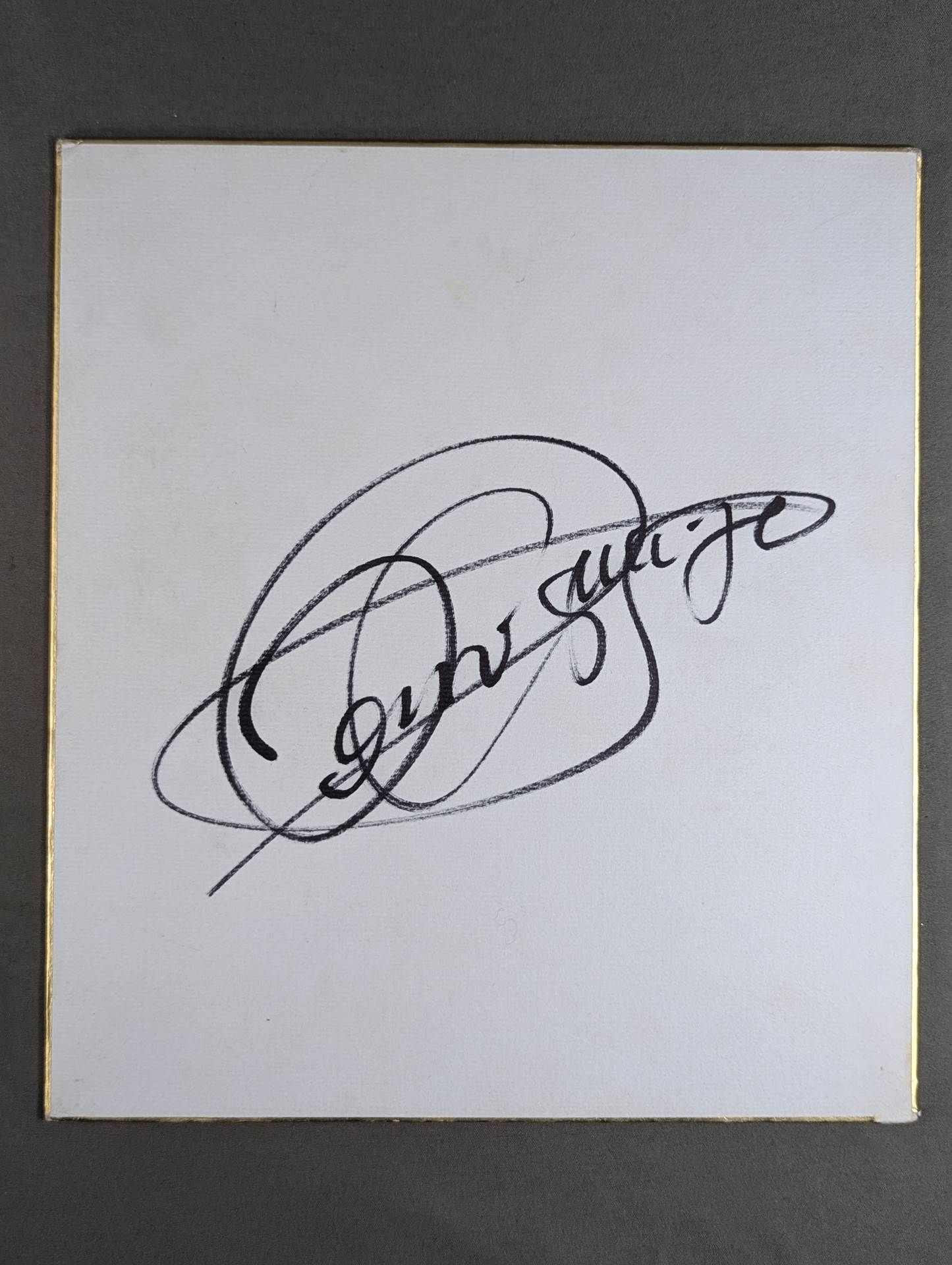 Perro Aguayo