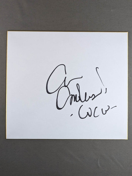 Arn Anderson