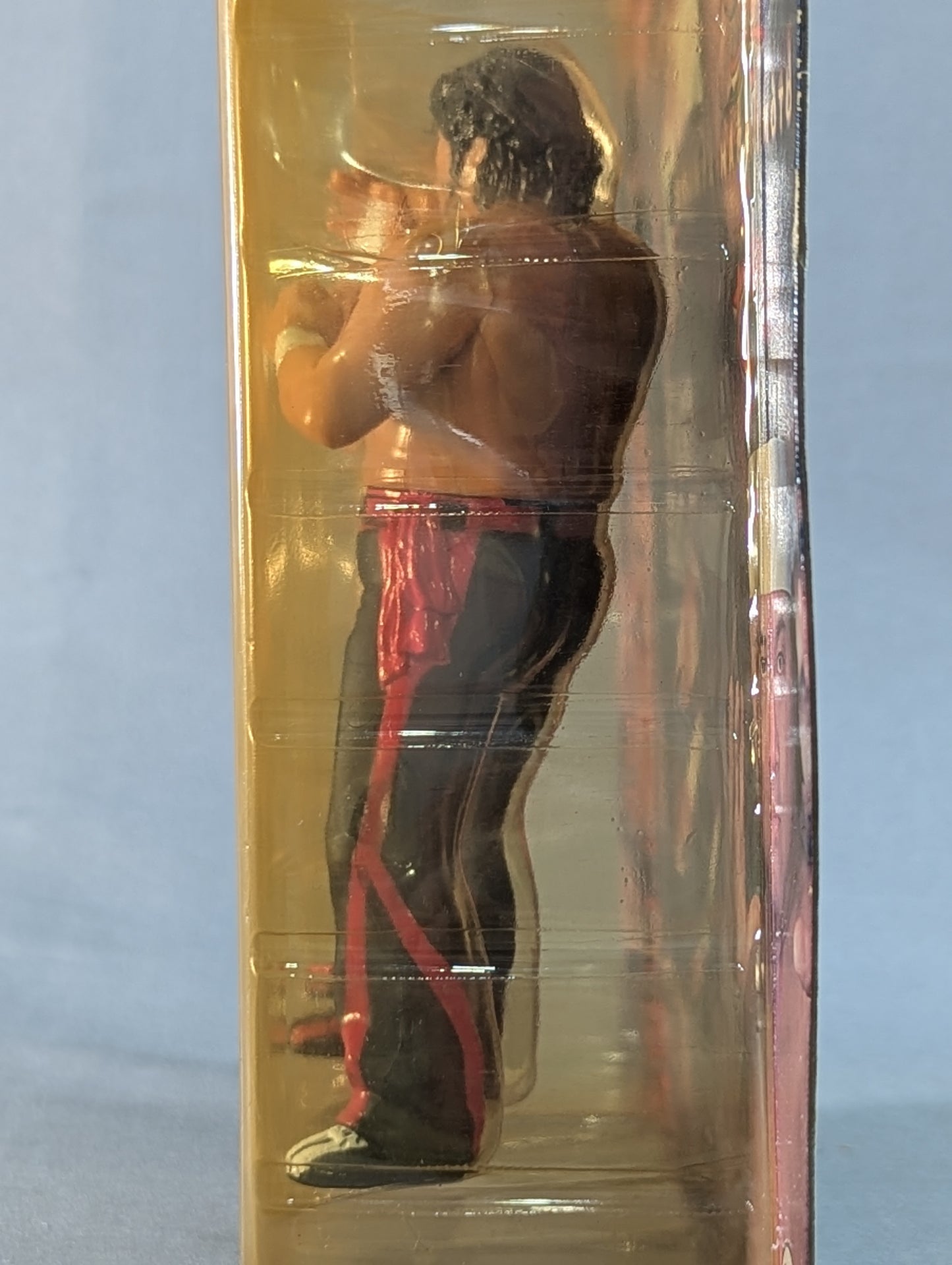 Shinya Hashimoto (stance)& Shinjiro Otani