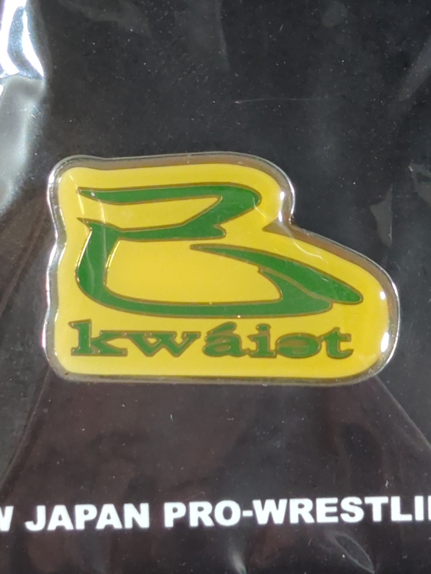 Takashi Iizuka "kwaiet" PINS