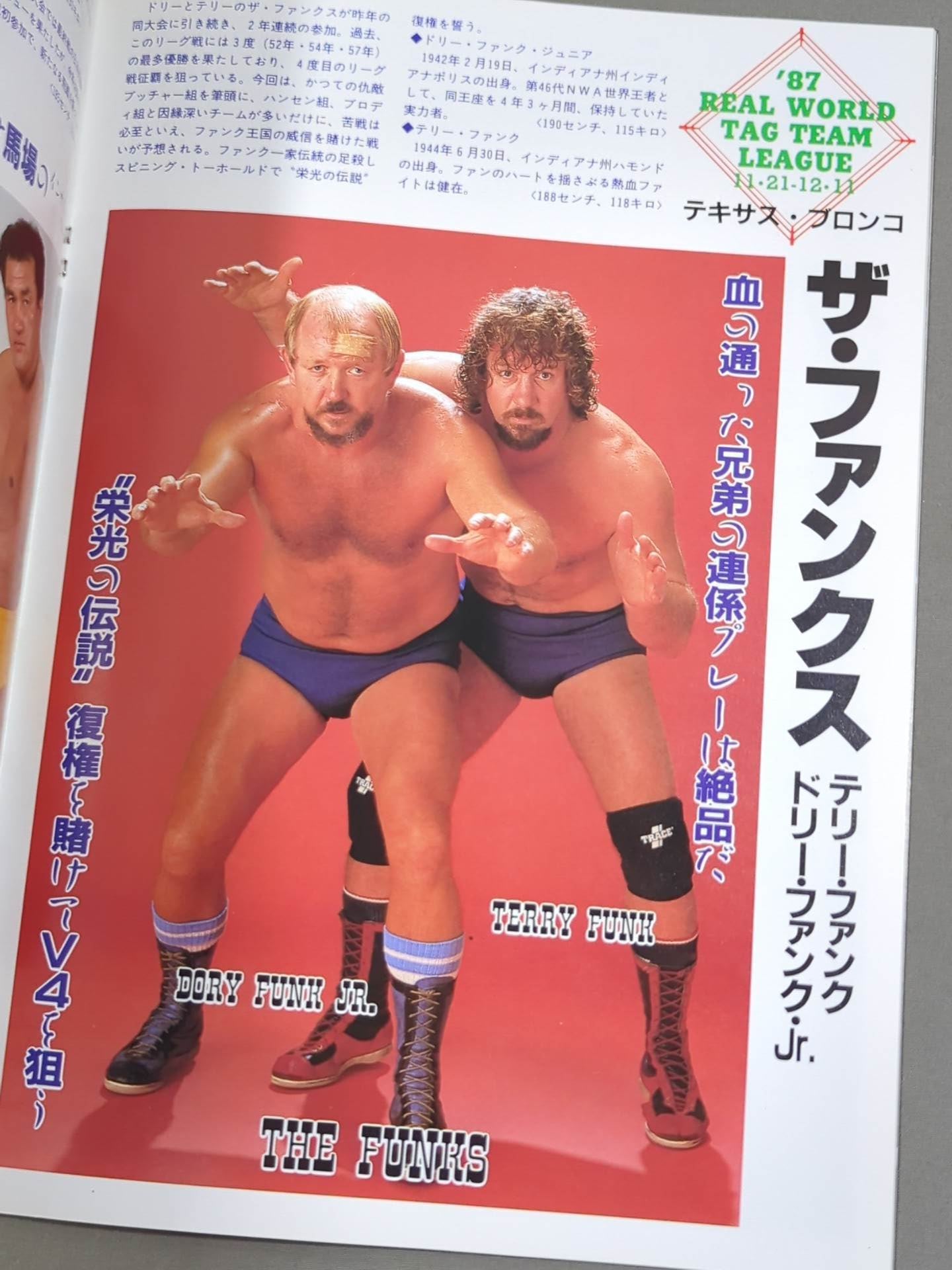 87 Real World Tag League