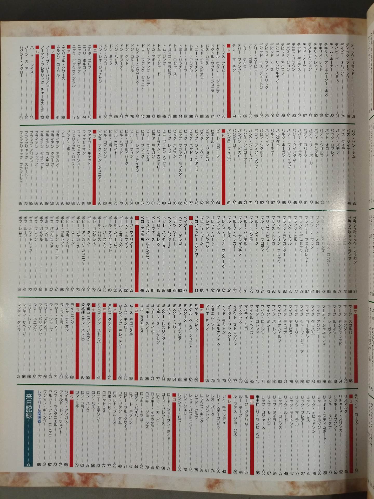 Gong Special Issue All Japan Pro Wrestling Foreigners Visiting Japan fighters PERFECT brochure