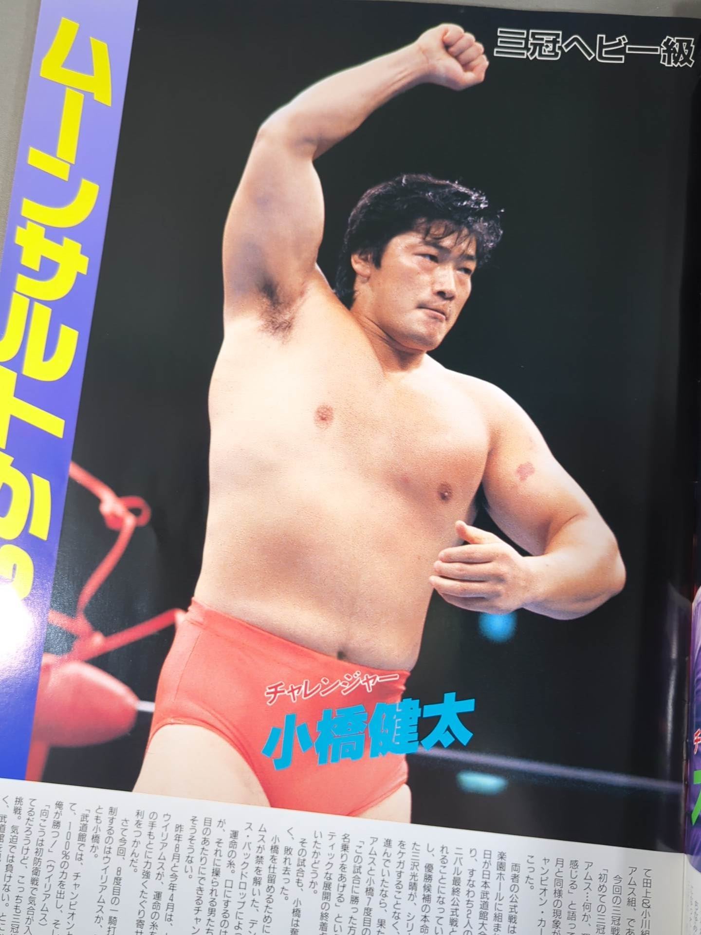 94 Summer Action Series II / 9.3 ROYAL ROAD SUMMER GETSU IN BUDOKAN 2