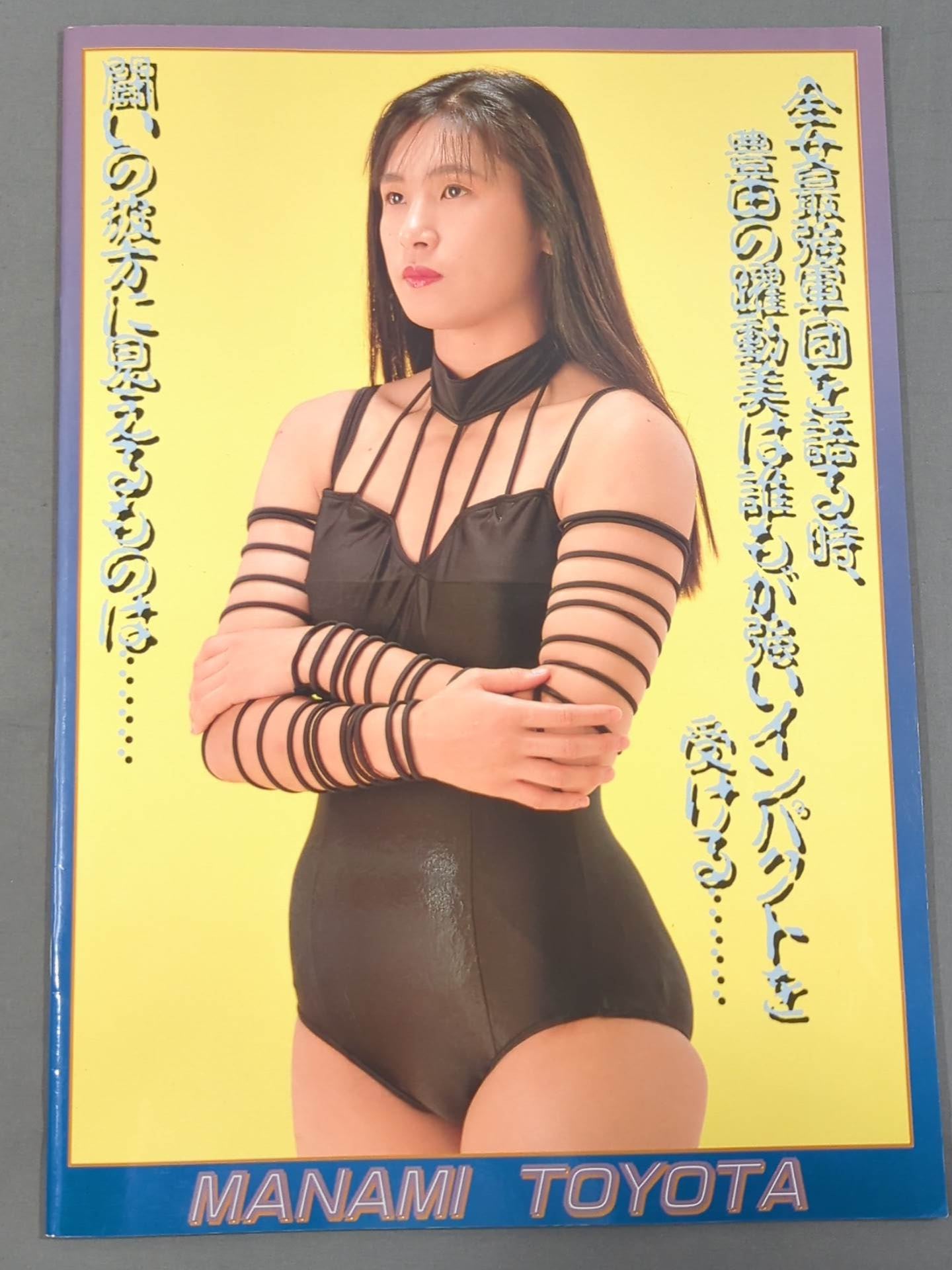 リングスターPROGRAM 1993 / LAST SUMMER&AUTUMN SPECIAL