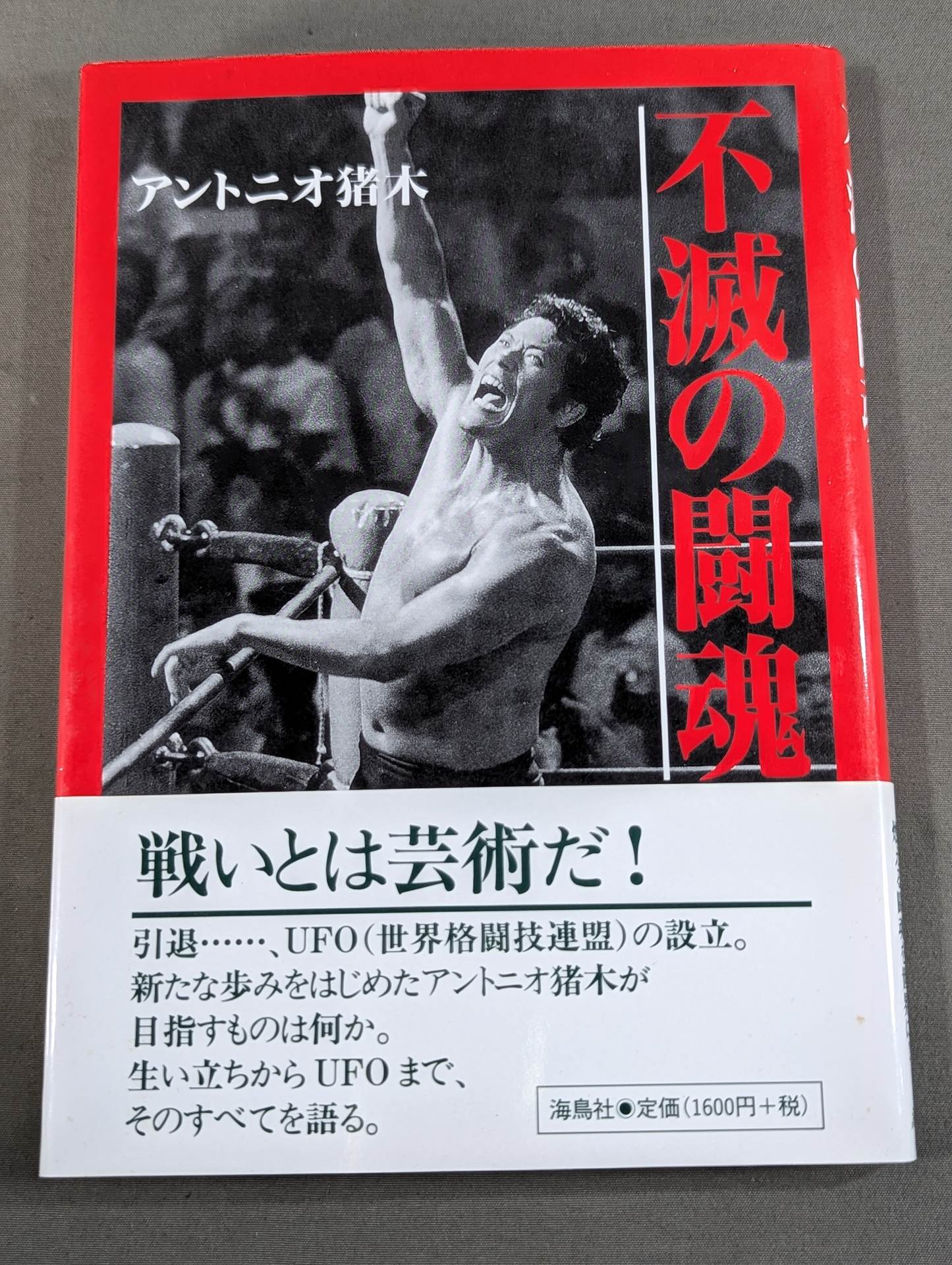 Immortal Fighting Spirit