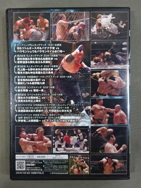 (12) BJW 11/27 Korakuen Hall 2018