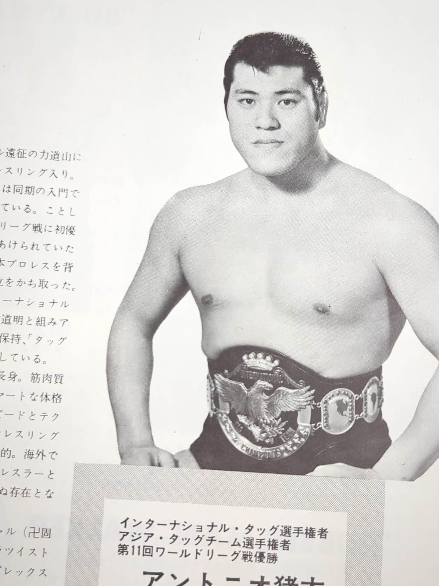 69NWA World Champion Series