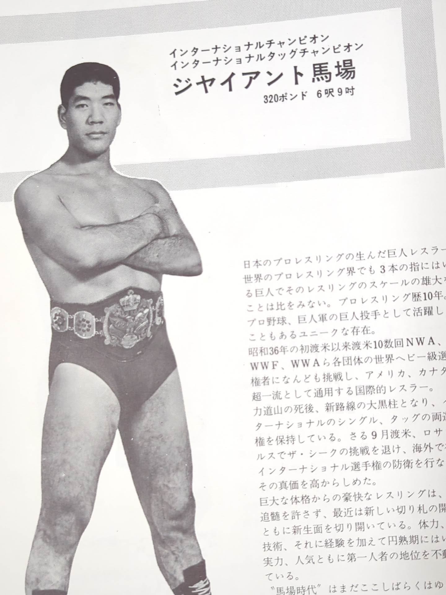 69NWA World Champion Series