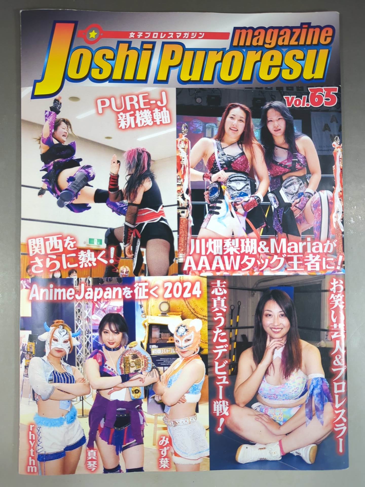 女子プロレスマガジン Vol.65