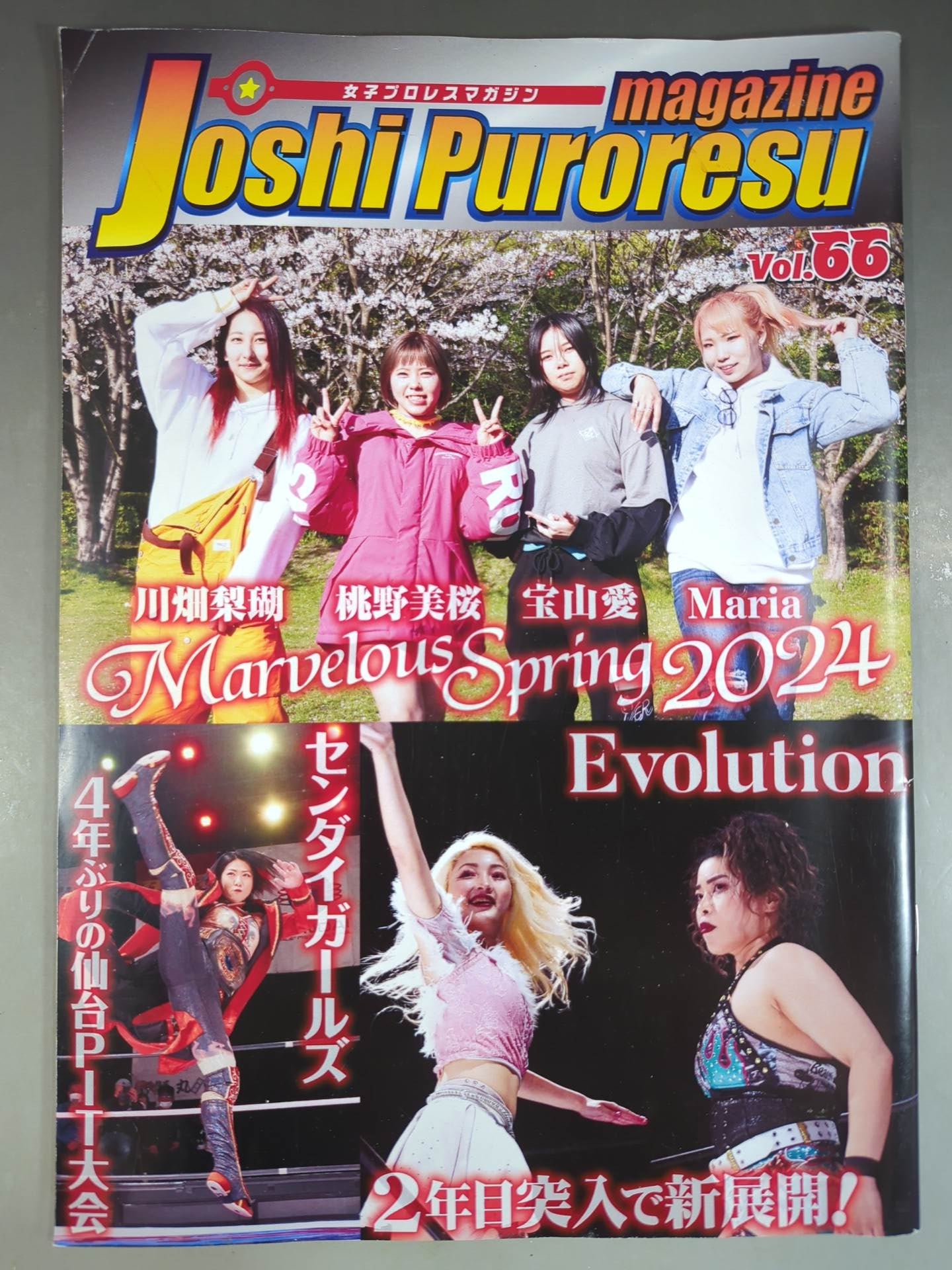 女子プロレスマガジン Vol.66
