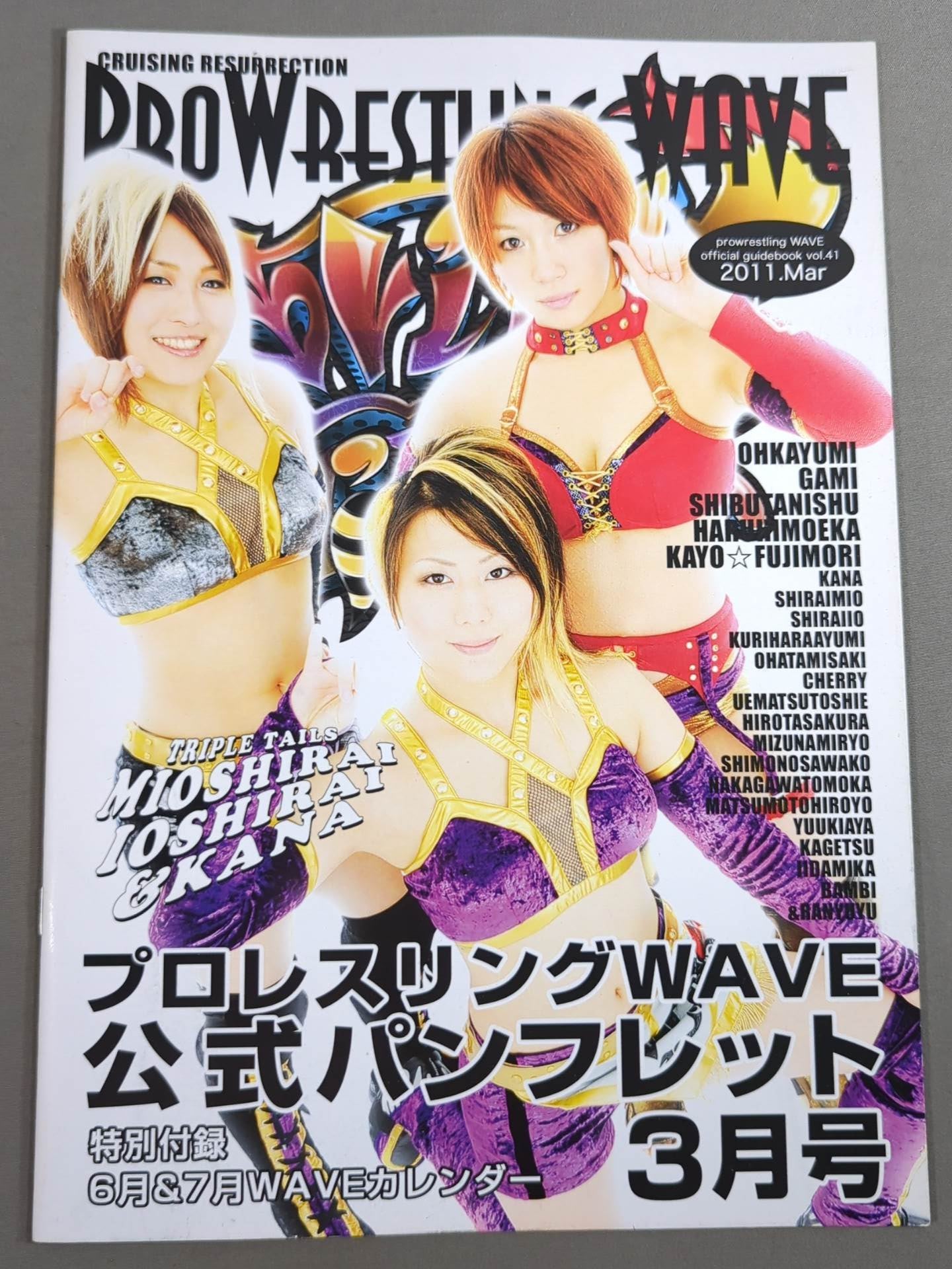 Pro-wrestling WAVE Official Brochure vol.41