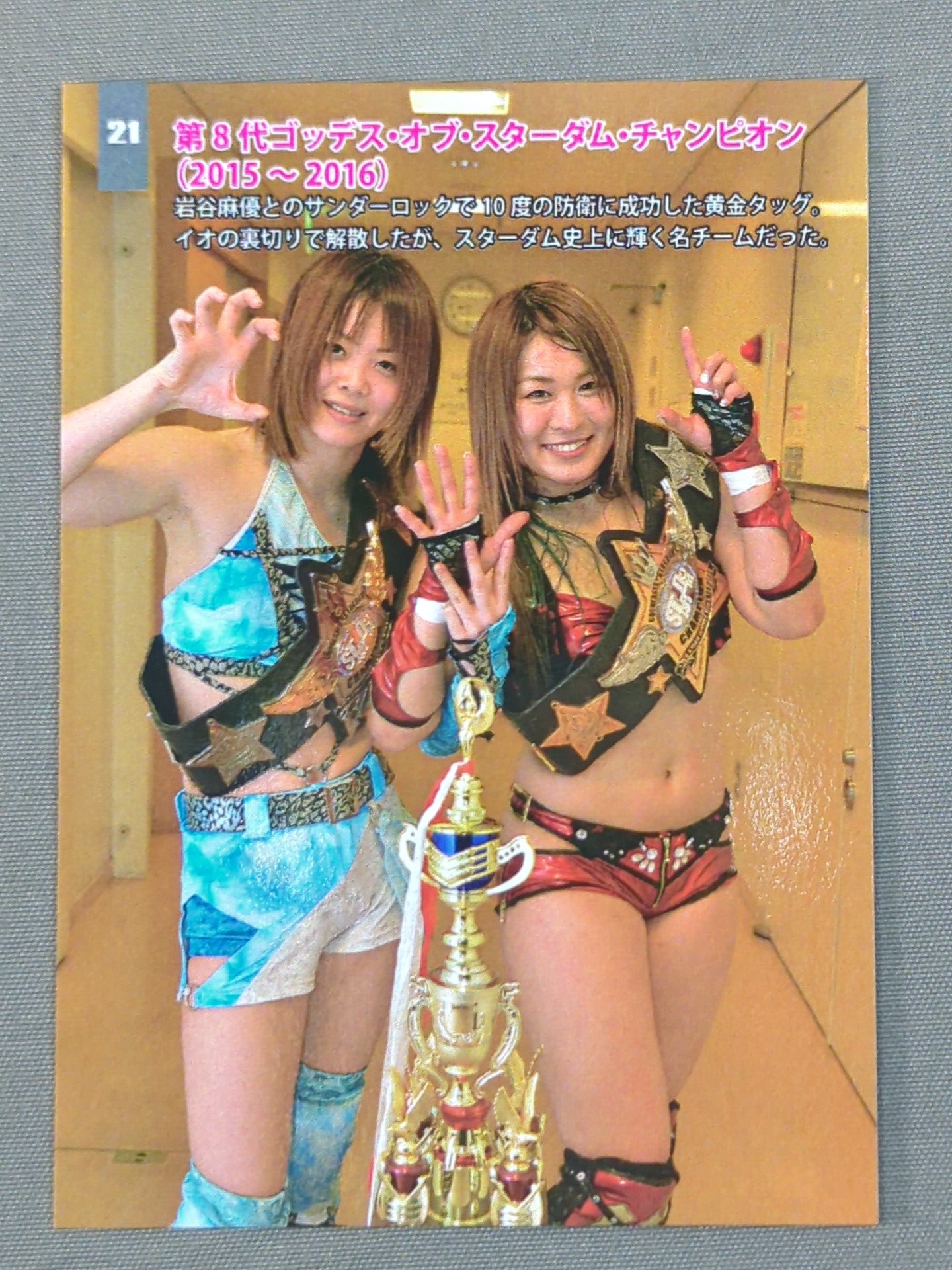 2018 IO SHIRAI MEMORIAL COLLECTION CARD Io Shirai (Iyo Sky) (21)