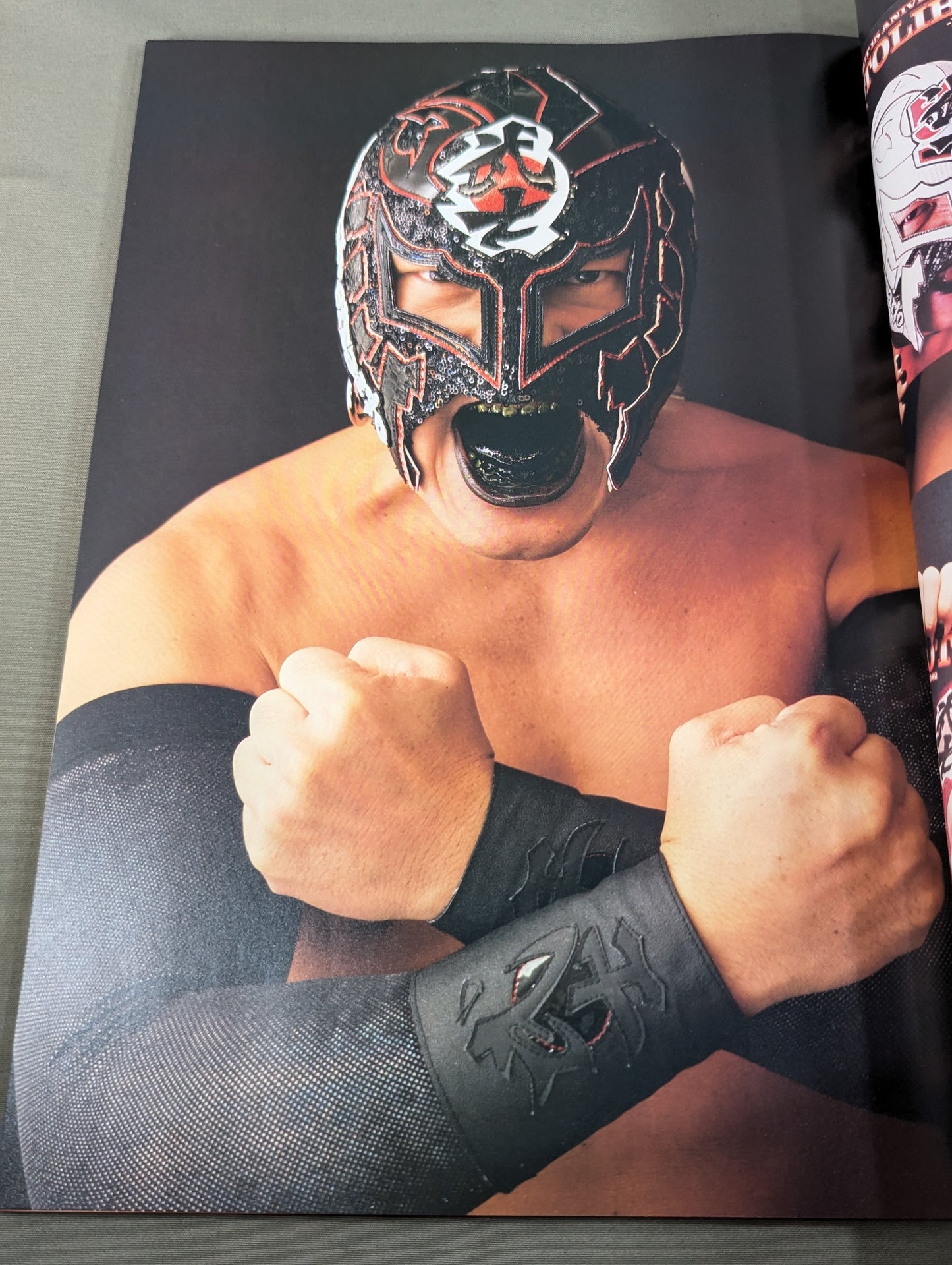 【BUSHI hand signed autograph 】FOTOLIBRE de Mascara Numero.79