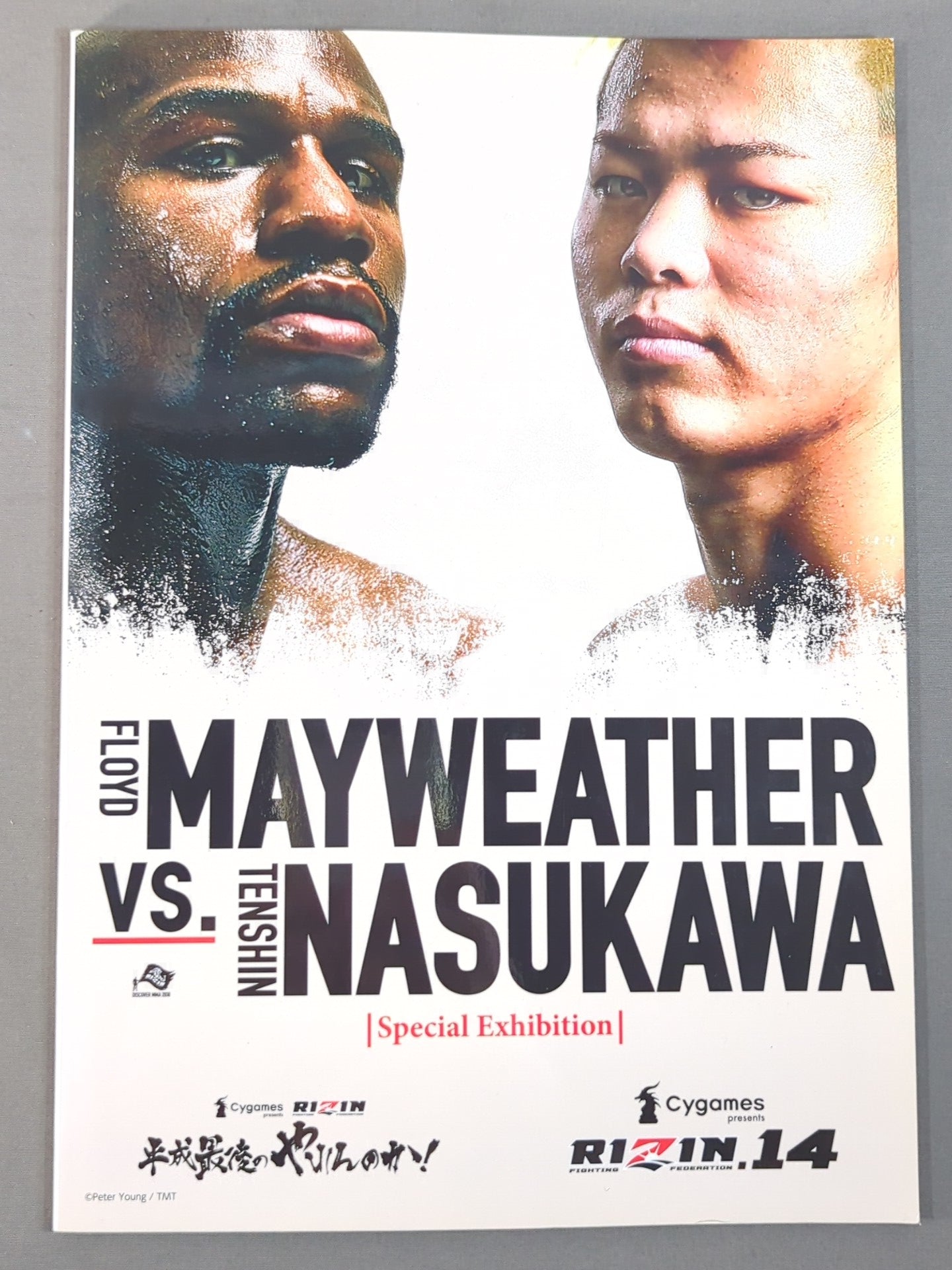 ★ Tenshin Nasukawa vs Mayweather★ Heisei's Last Yarenka! RIZIN.14