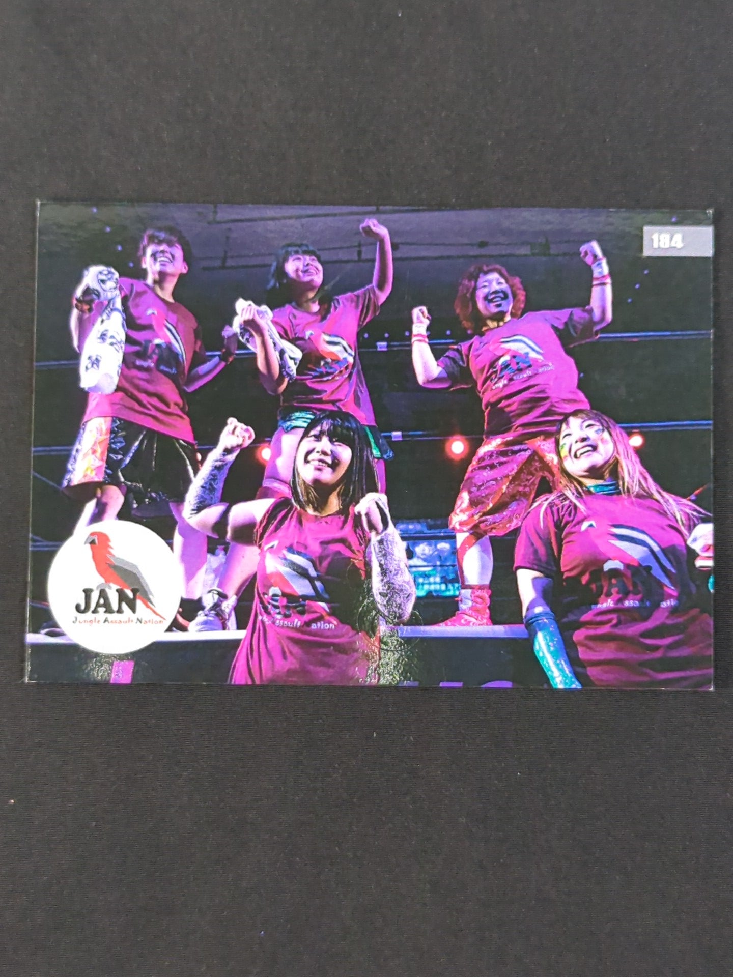 2019 STARDOM COLLECTION CARD JAN 公式サインカード