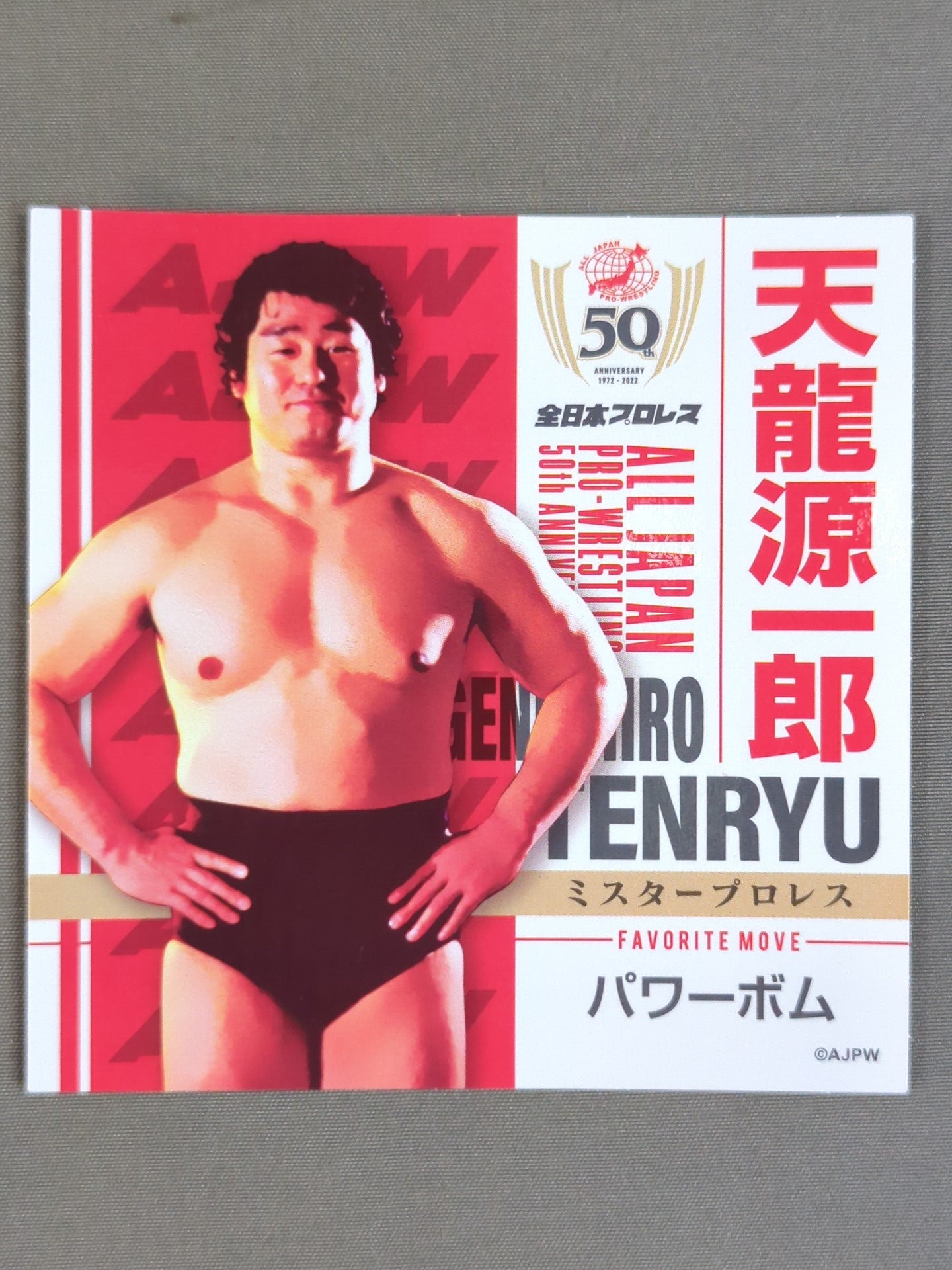 Tenryu Genichiro  All Japan Pro Wrestling 50th Anniversary plastic file folder & Sticker Sets