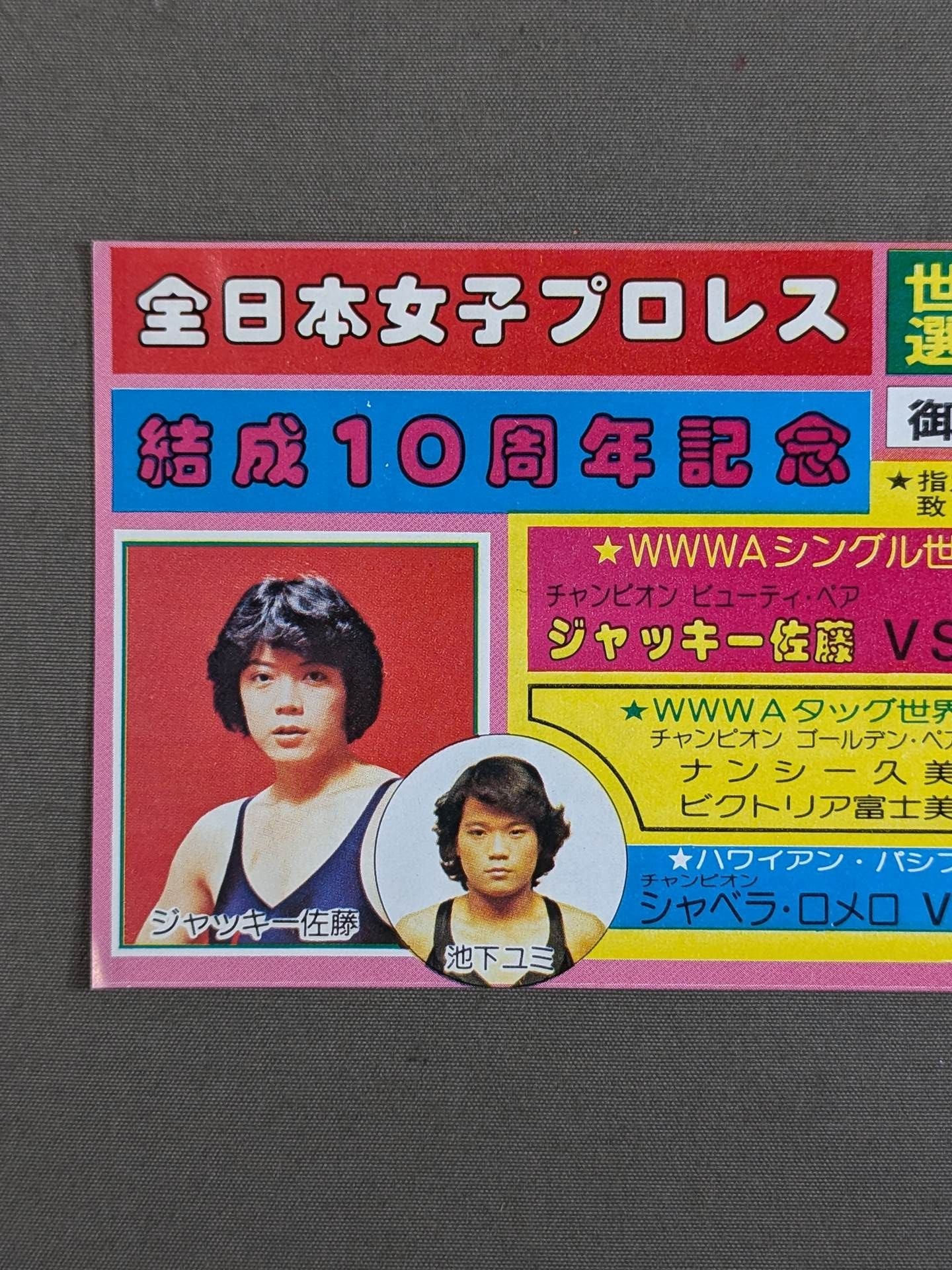 ★結成10周年記念★ 全日本女子プロレス 日本武道館大会 御優待券
