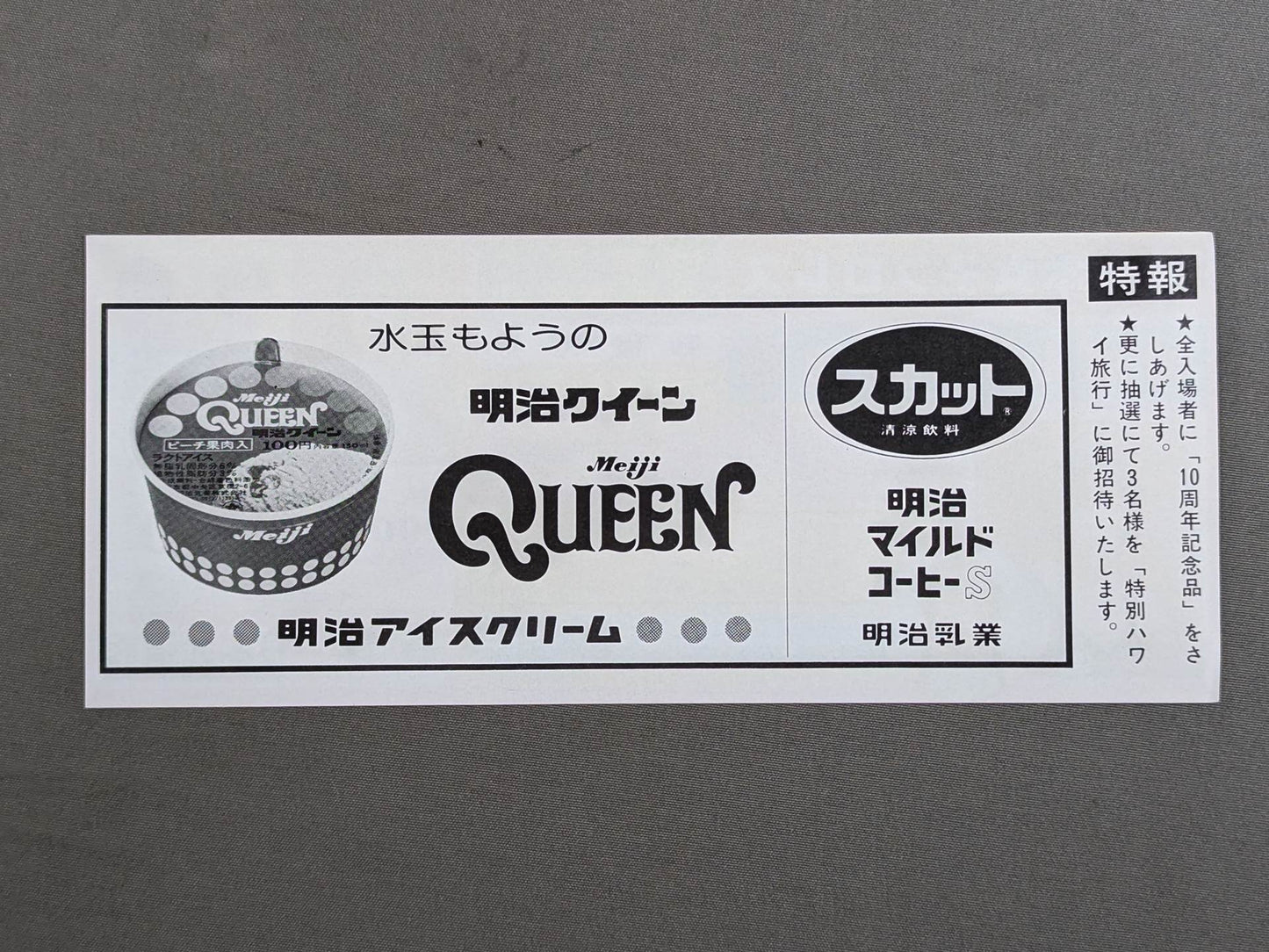 ★結成10周年記念★ 全日本女子プロレス 日本武道館大会 御優待券