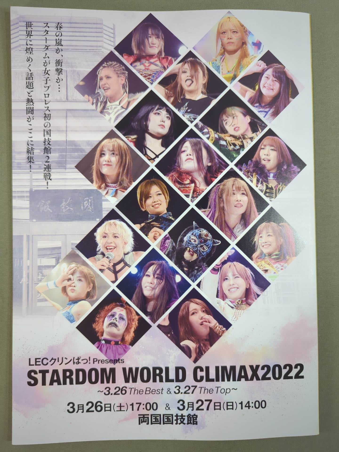 STARDOM OFFICIAL GUIDE BOOK Vol.140