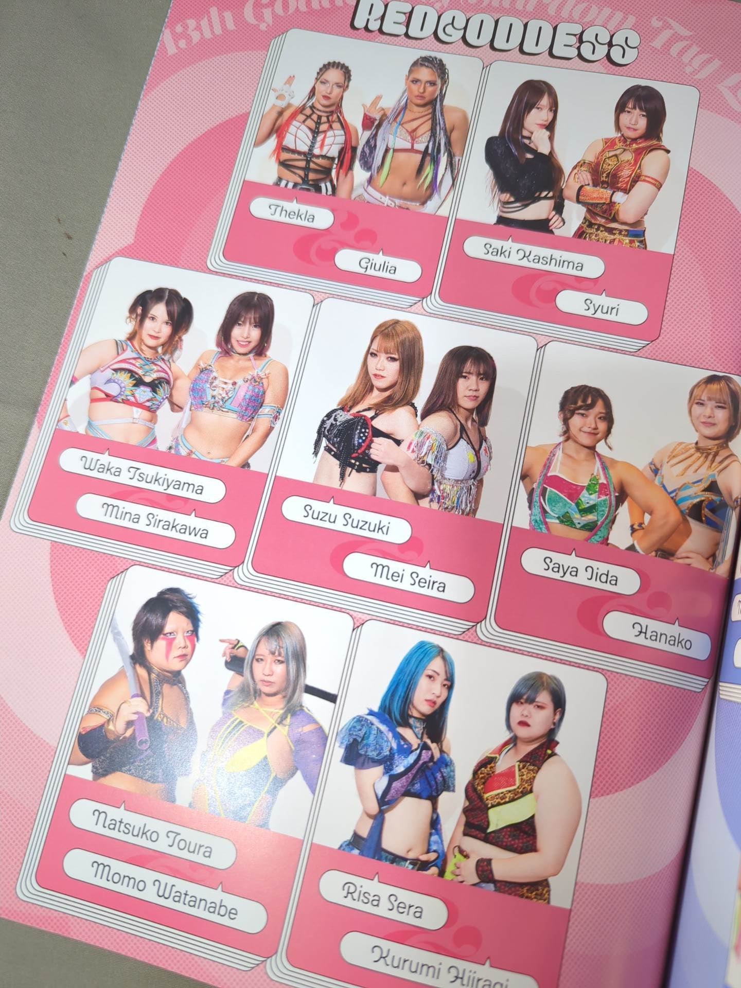 STARDOM OFFICIAL GUIDE BOOK Vol.149