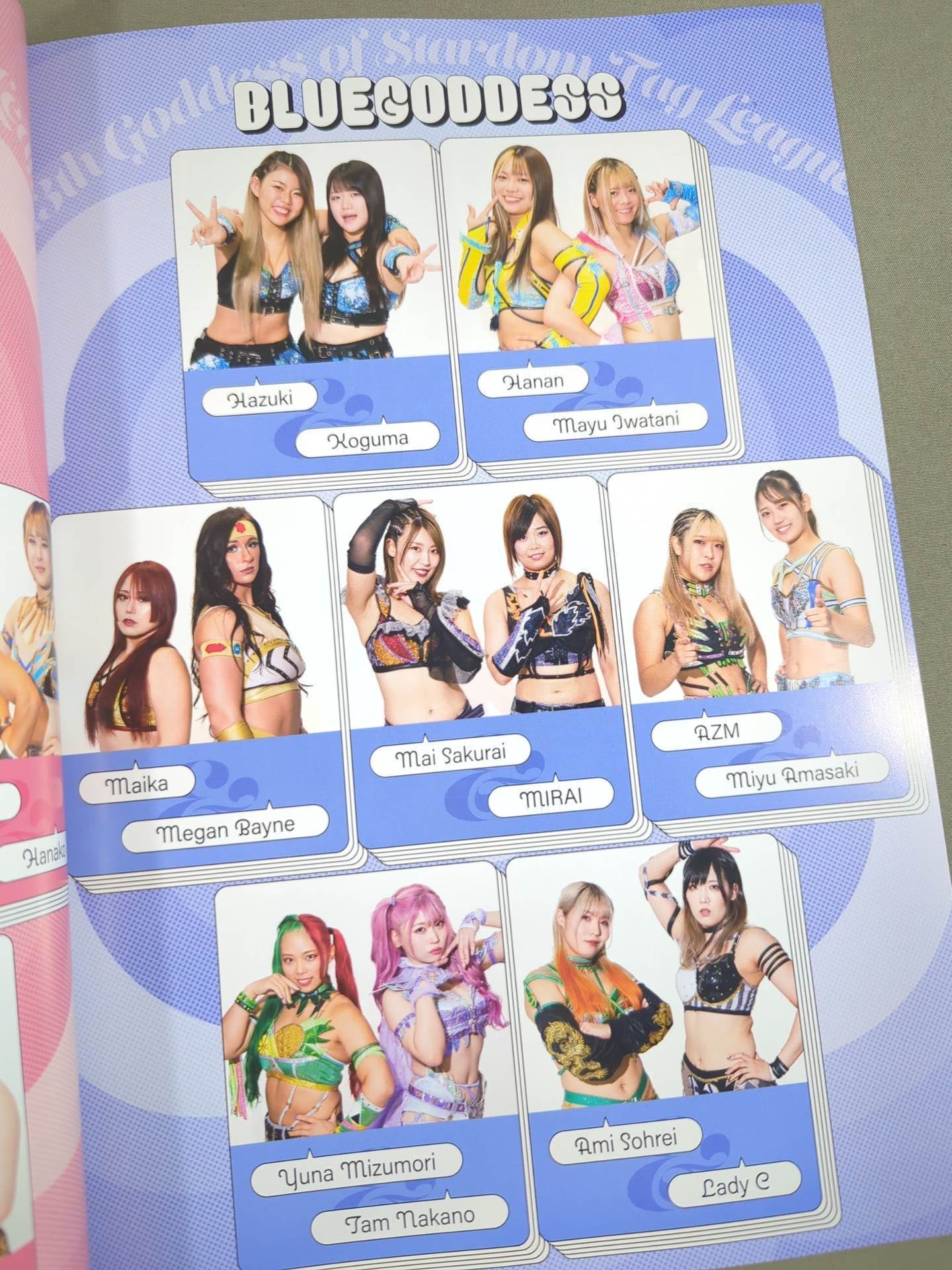 STARDOM OFFICIAL GUIDE BOOK Vol.149