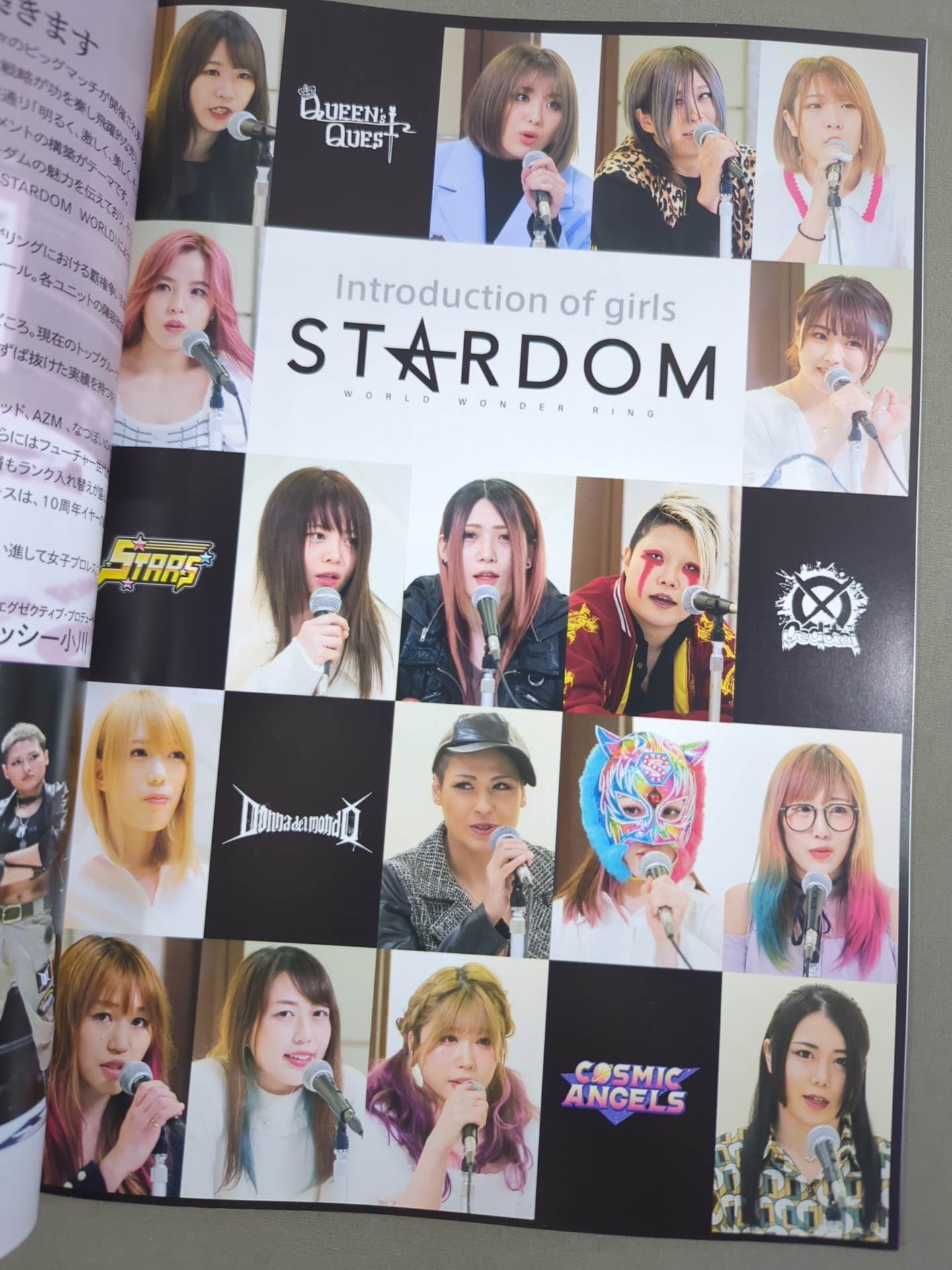 STARDOM OFFICIAL GUIDE BOOK Vol.136