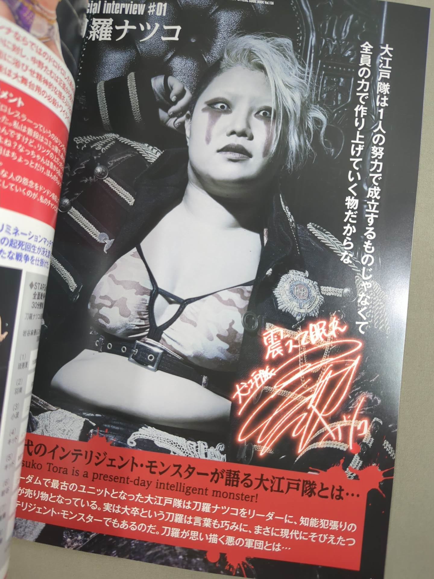 STARDOM OFFICIAL GUIDE BOOK Vol.136