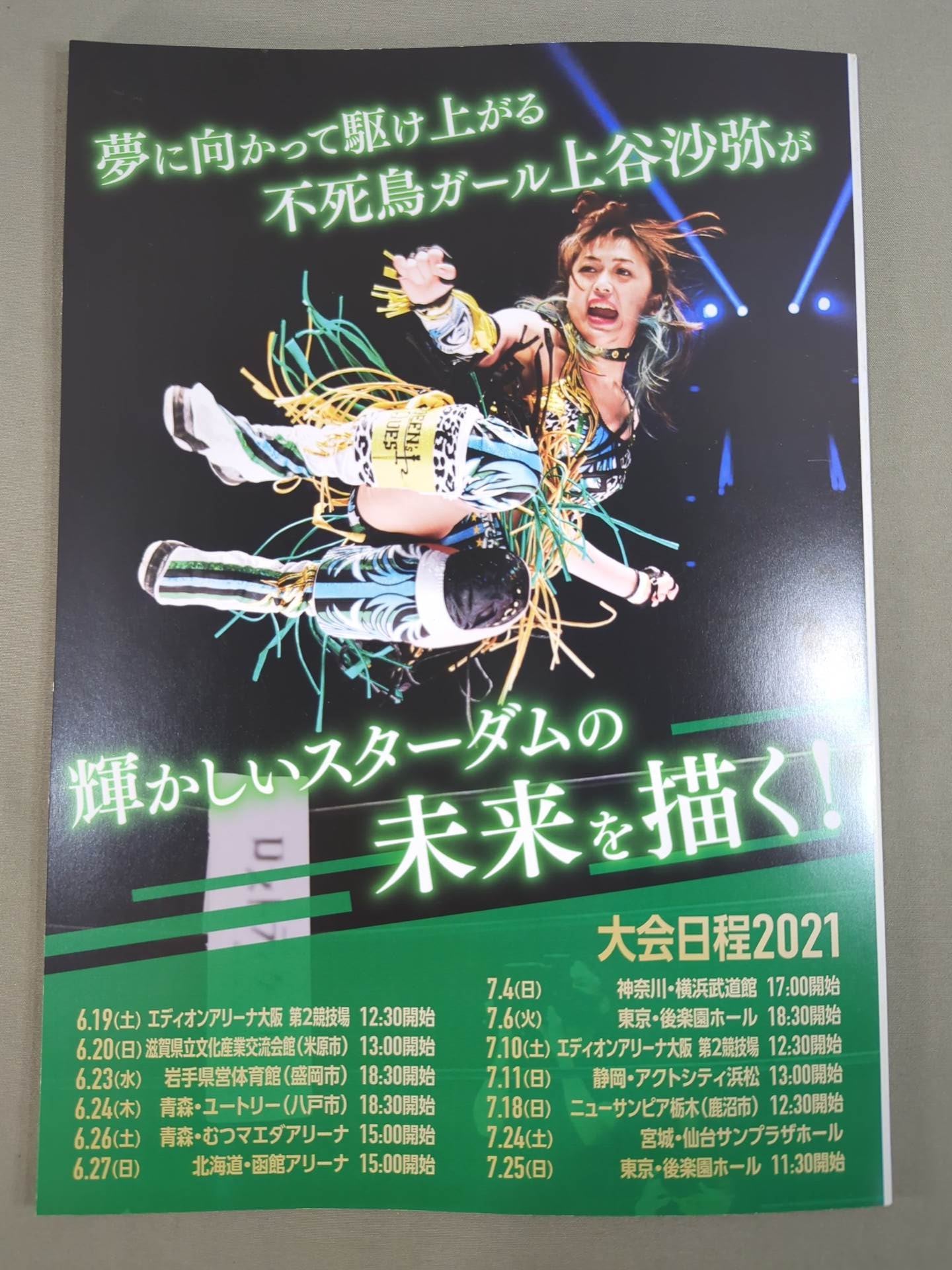STARDOM OFFICIAL GUIDE BOOK Vol.136