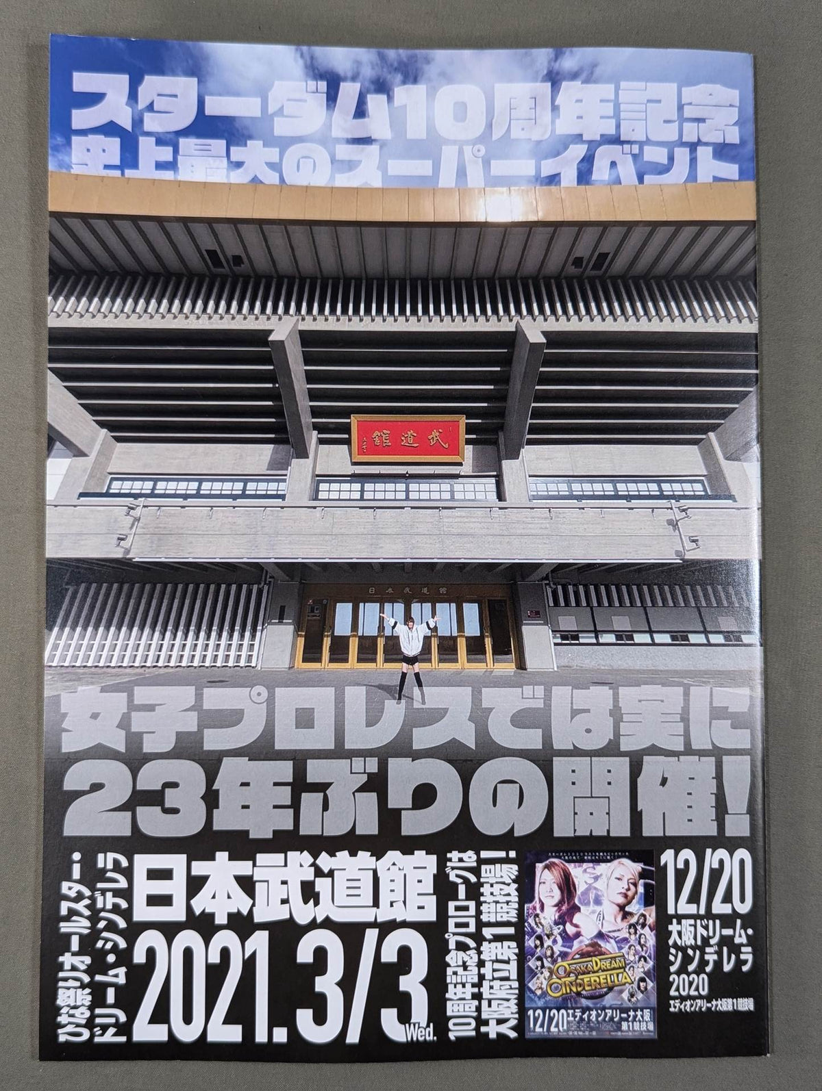 STARDOM OFFICIAL GUIDE BOOK Vol.133