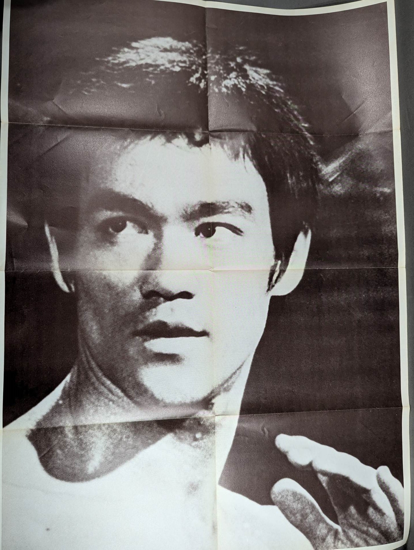 DRAGON BRUCE DRAGON LEE : STAR SHOTO & CINEMA PAMPHLET