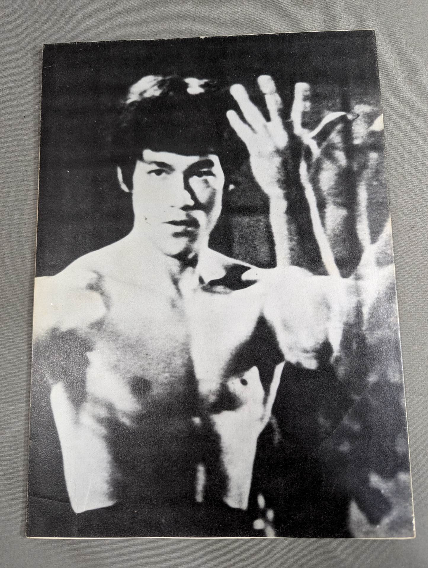DRAGON BRUCE DRAGON LEE : STAR SHOTO & CINEMA PAMPHLET