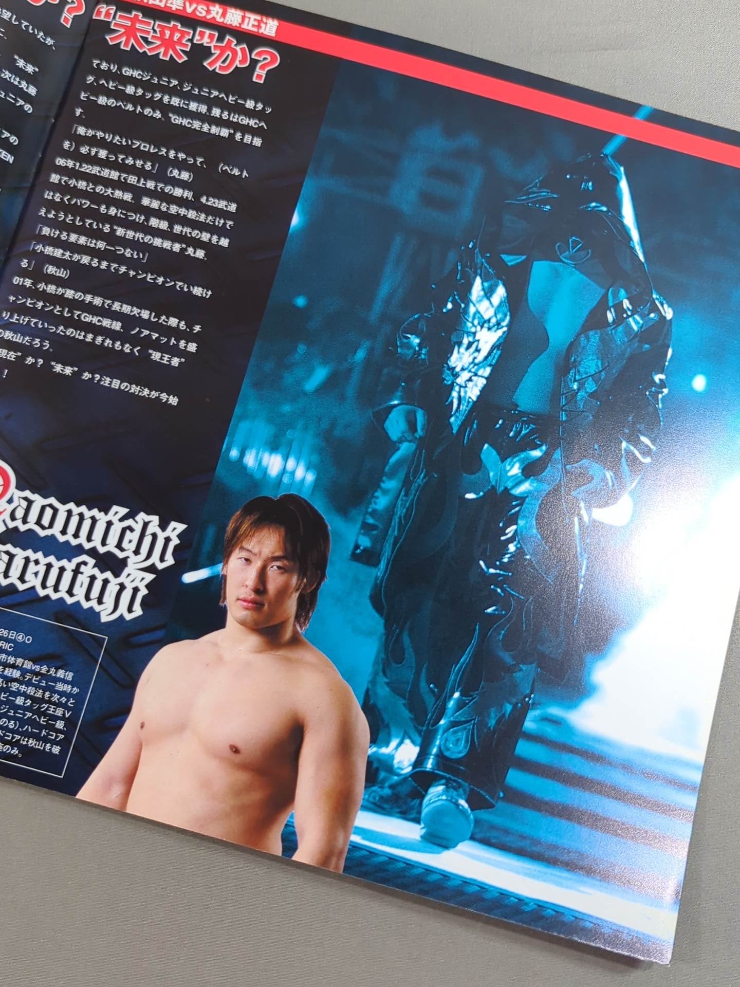 2006 Shiny Navigation / Japan Budokan Tournament