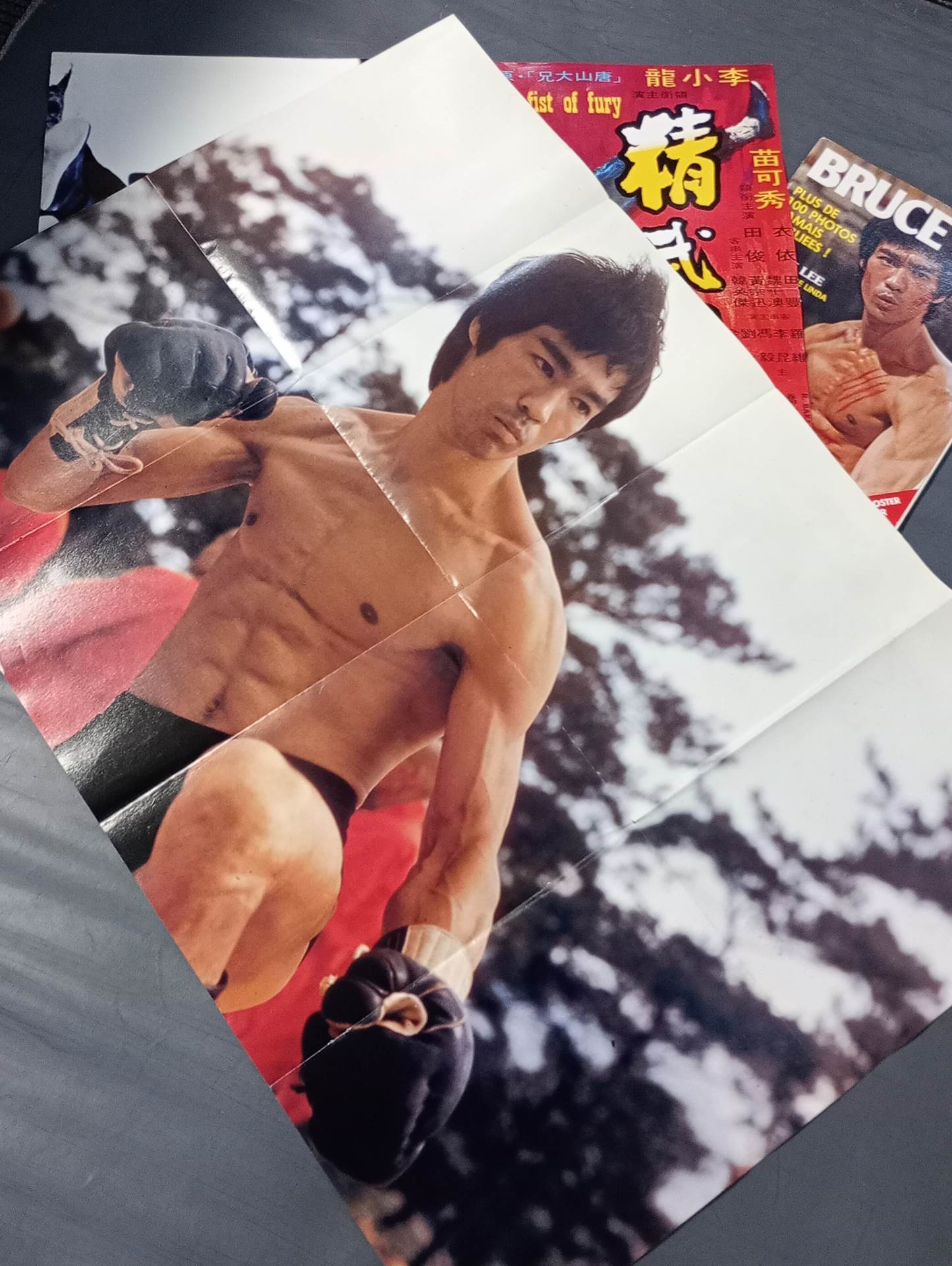 BRUCE LEE KARATE BUSHI DO SPECIAL: PLUS DE 100 PHOTOS JAMAIS PUBLIEES!