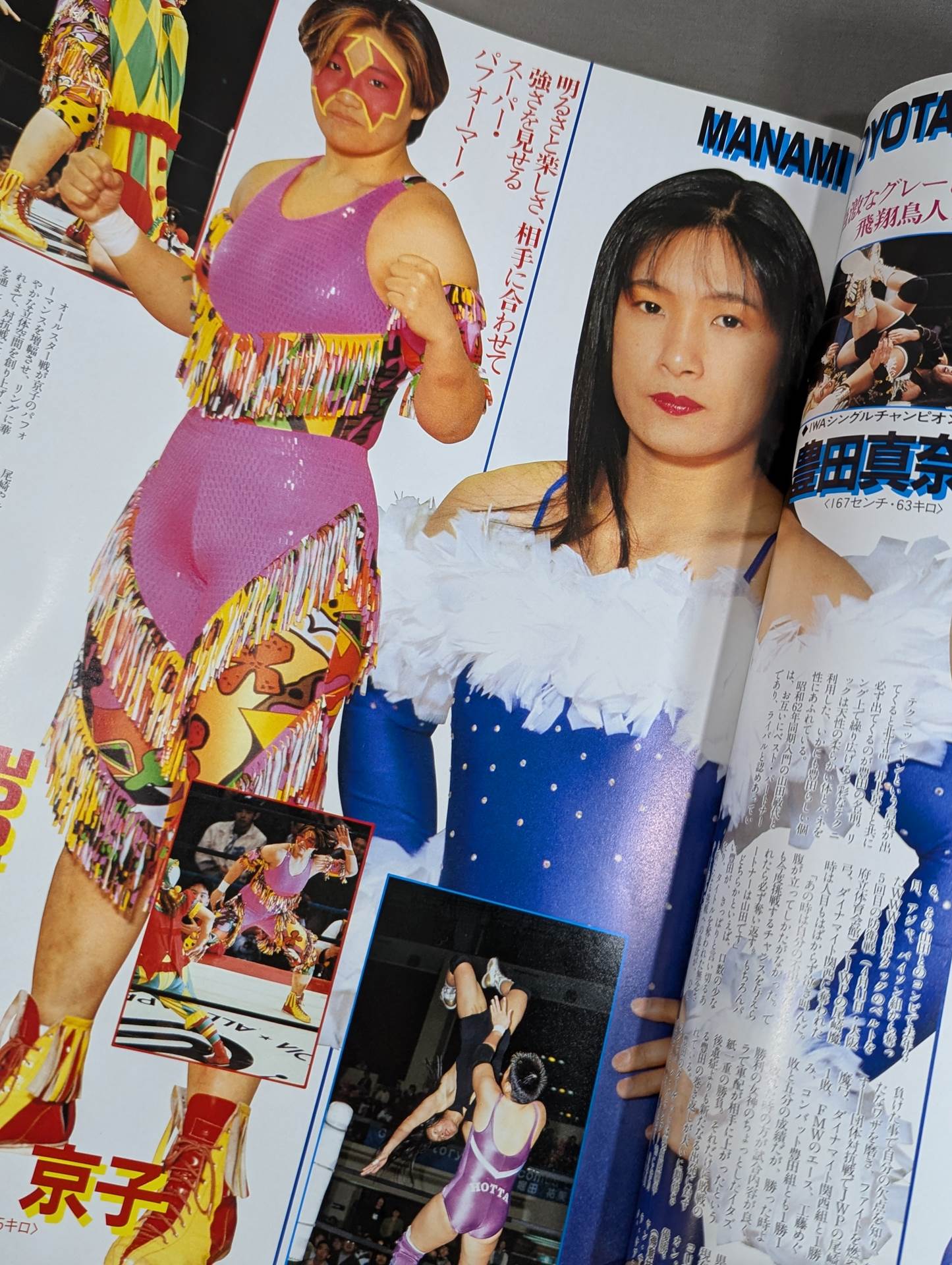 リングスターPROGRAM / 1993 SUMMER SPECIAL