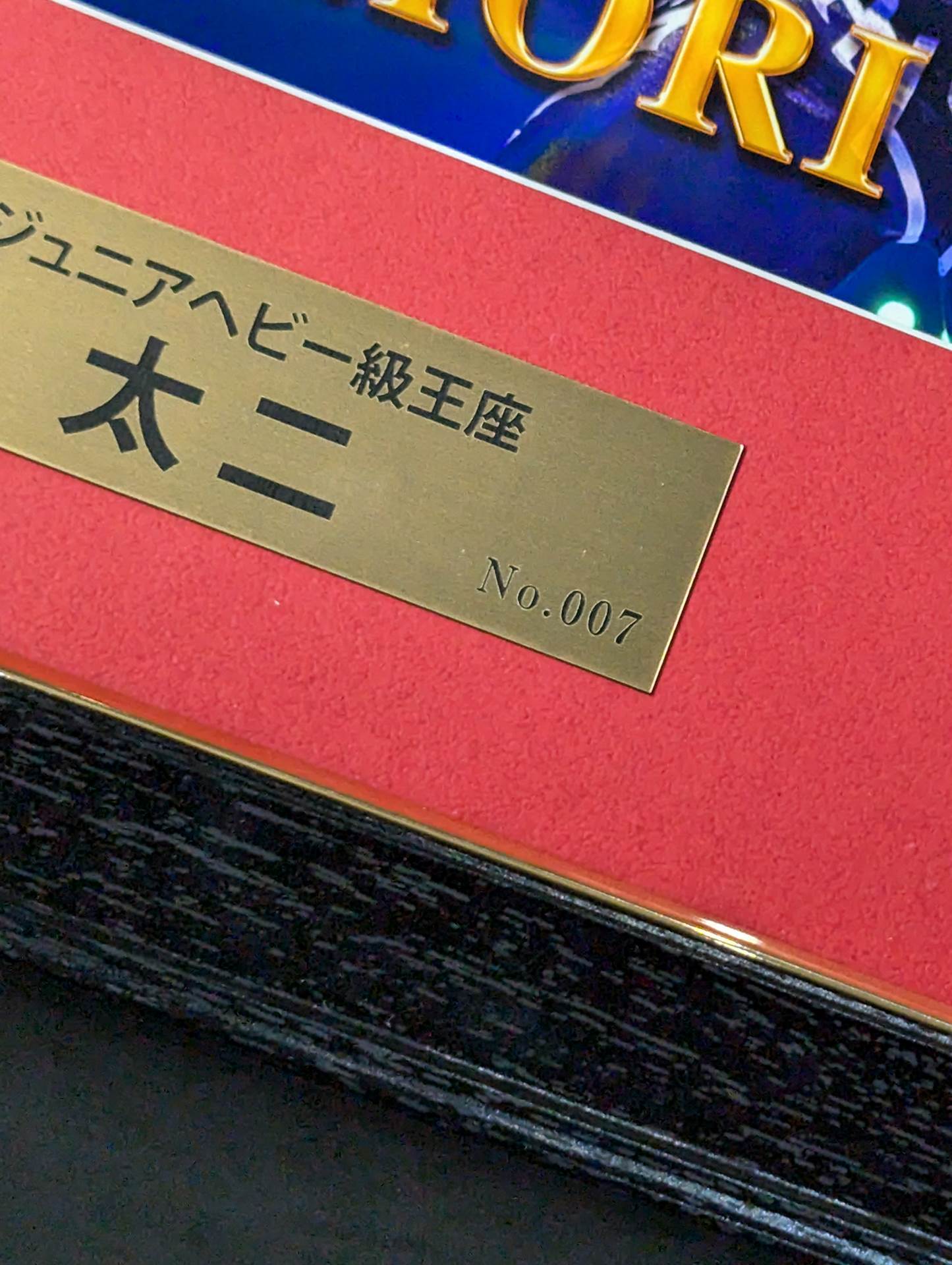 ★IWGP Jr初戴冠★石森太二 第83代 IWGP ジュニアヘビー級王座記念 直筆サイン入り フォトフレーム