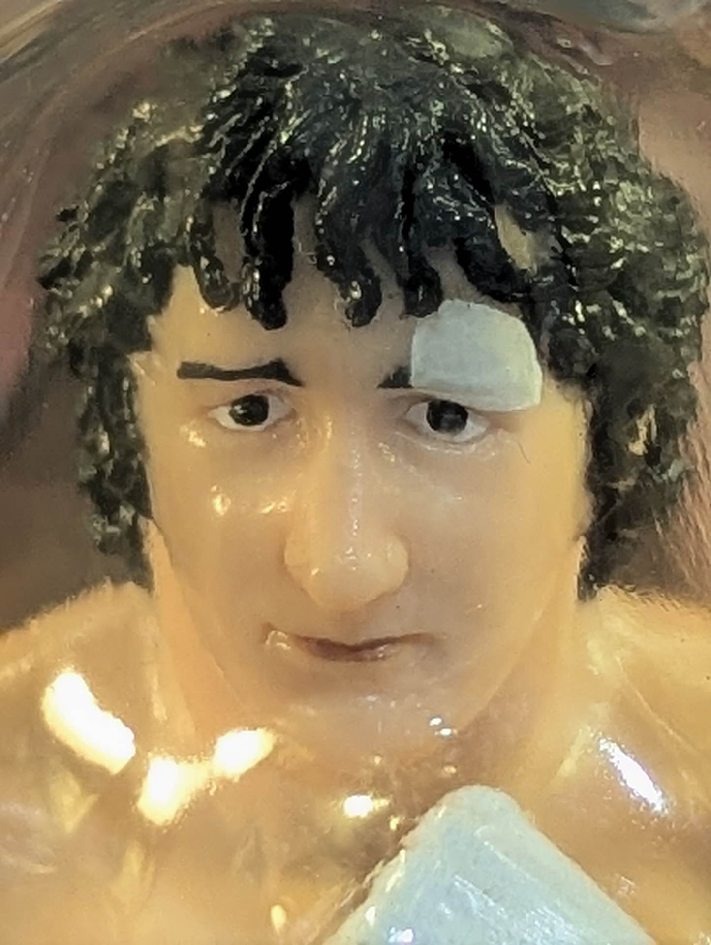 テリー・ファンク(茶帽子)