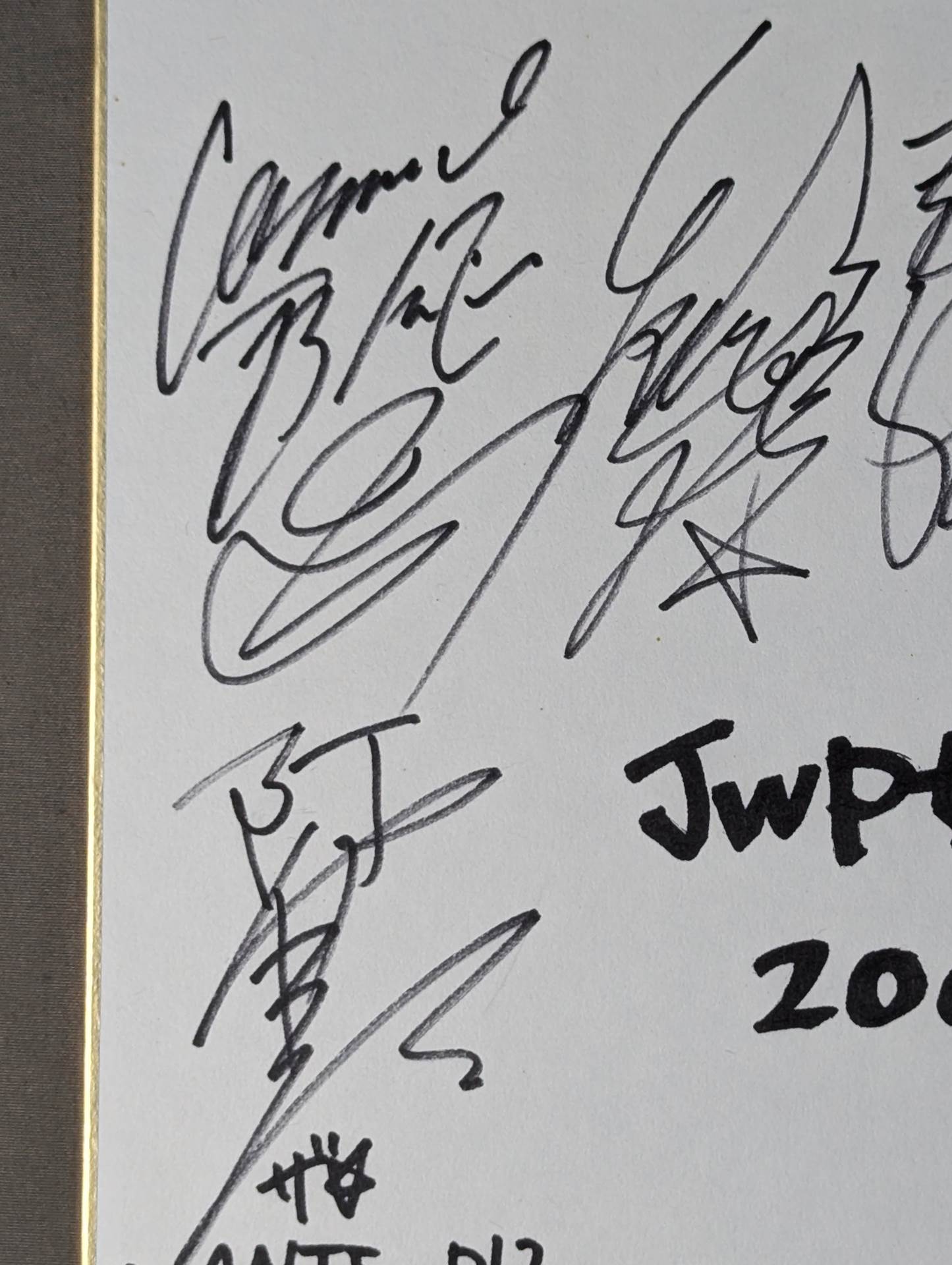 JWP女子プロレス 12名寄せ書き