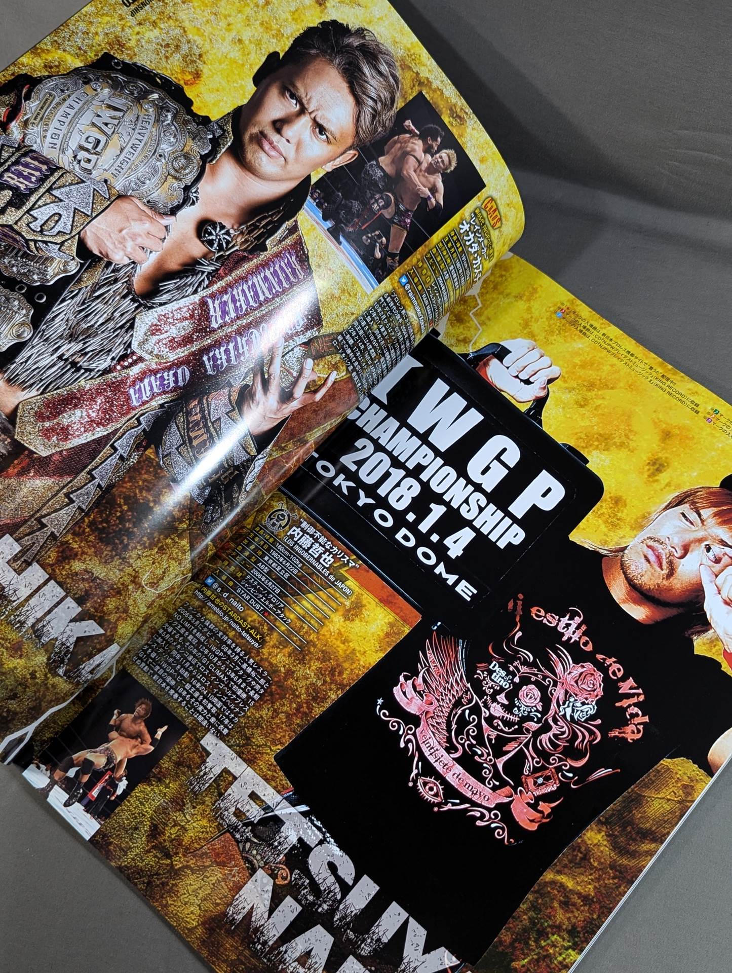 レッスルキングダム12 / WRESTLE KINGDOM 12