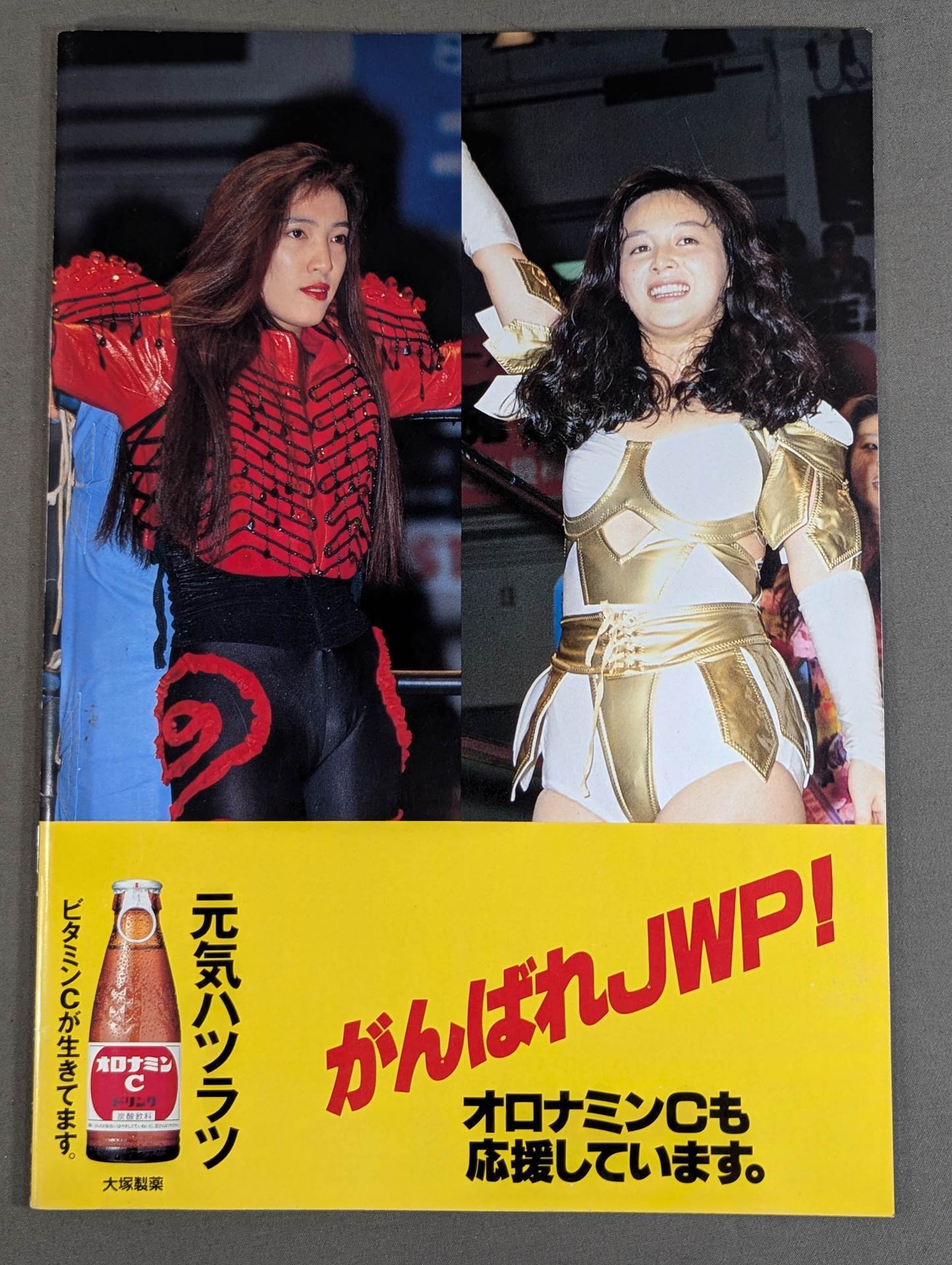JWP / OFFICIAL PAMPHLET Vol.9 / COUNT DOWN TO ARIAKE