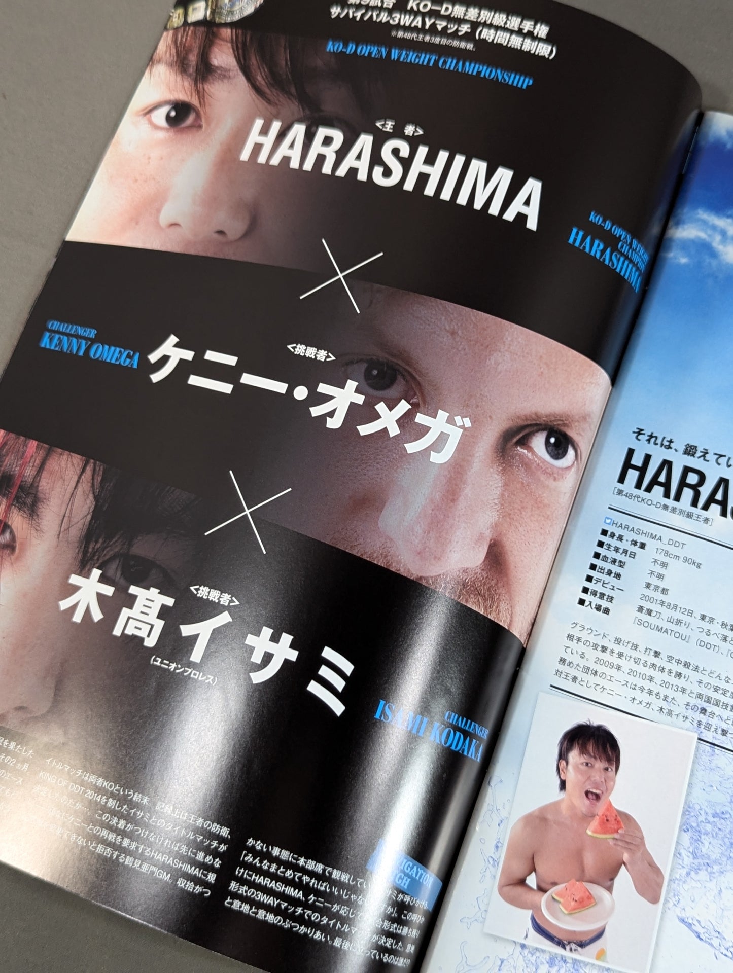 Ryogoku Peter Pan 2014