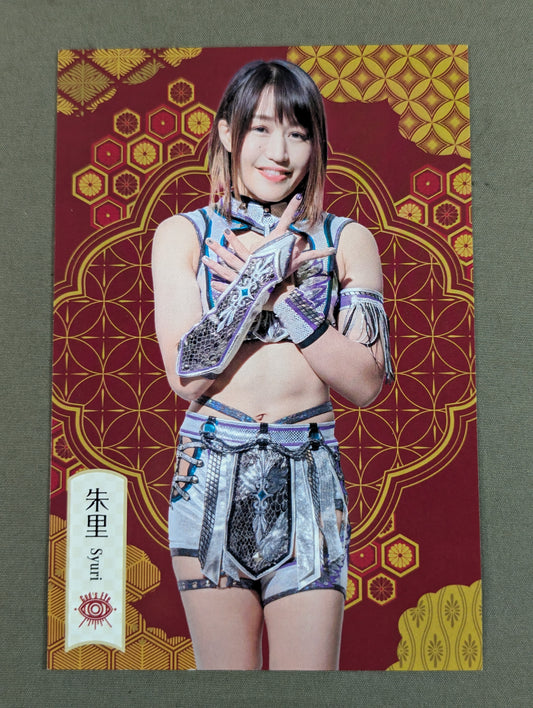 Akari Photo session target postcard (1)